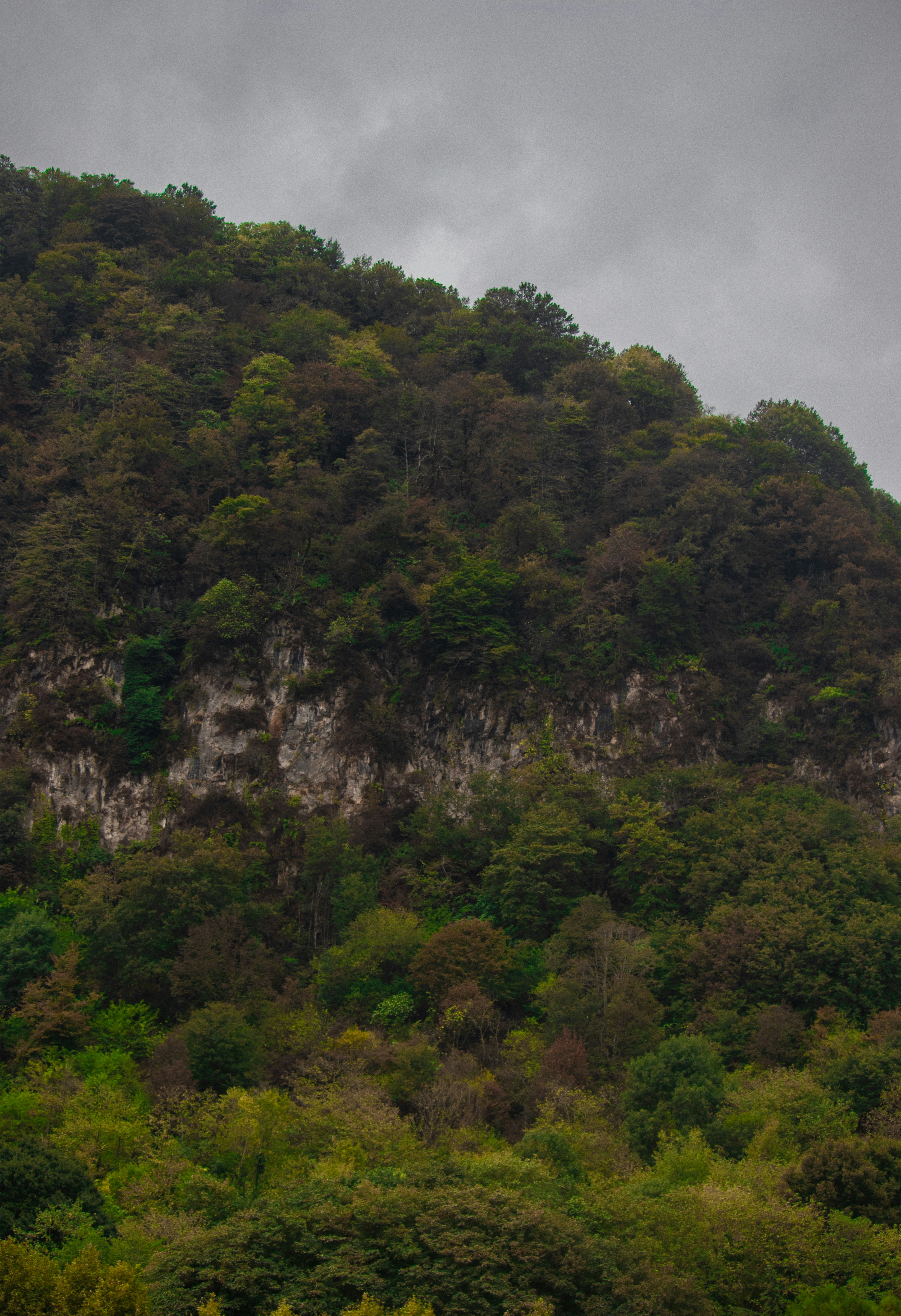 Photo by sinabahar76