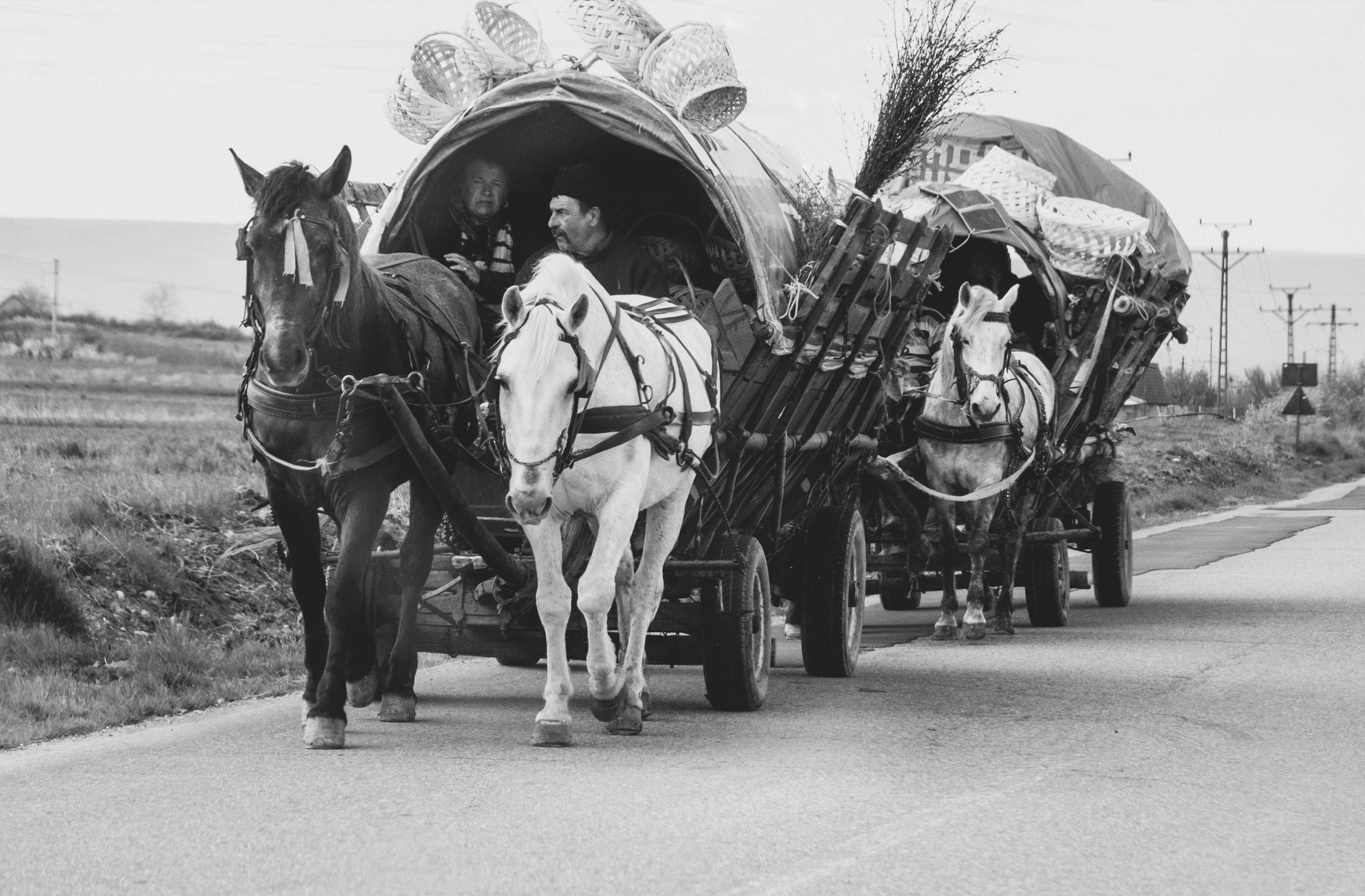 Photo by strinoiumarian