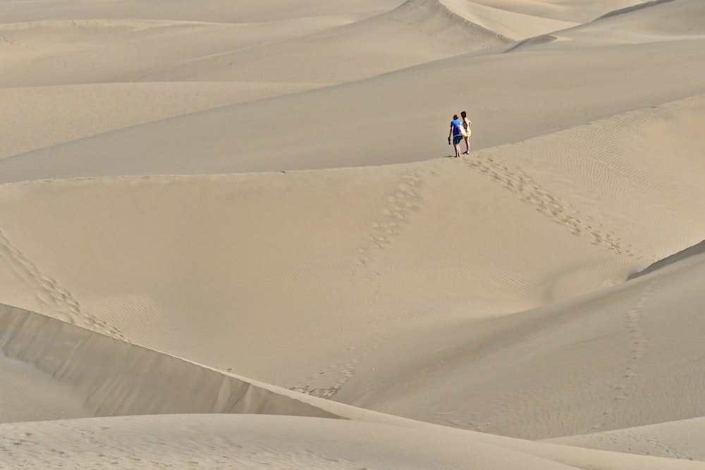 two people walking in the desert