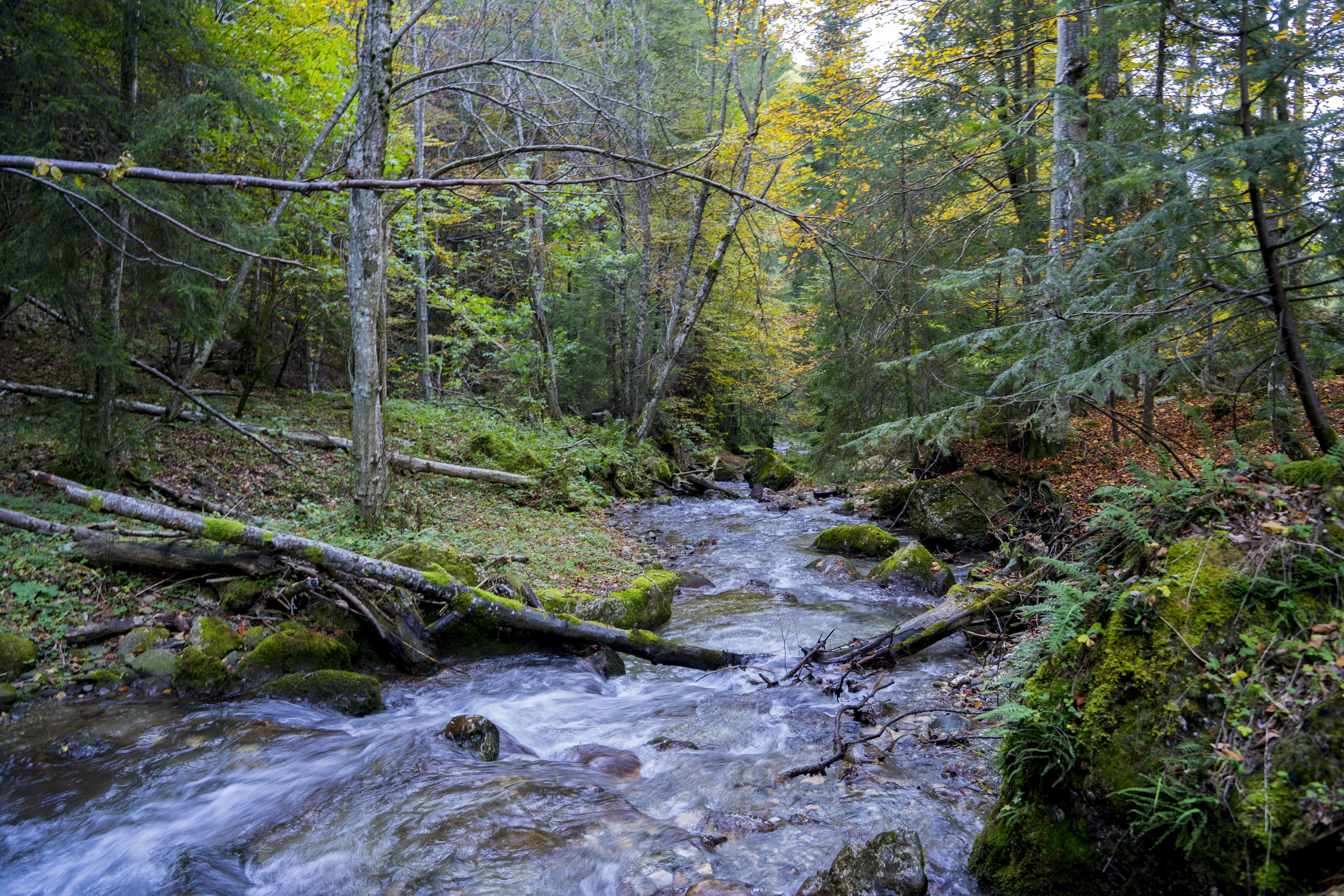 Photo by strinoiumarian