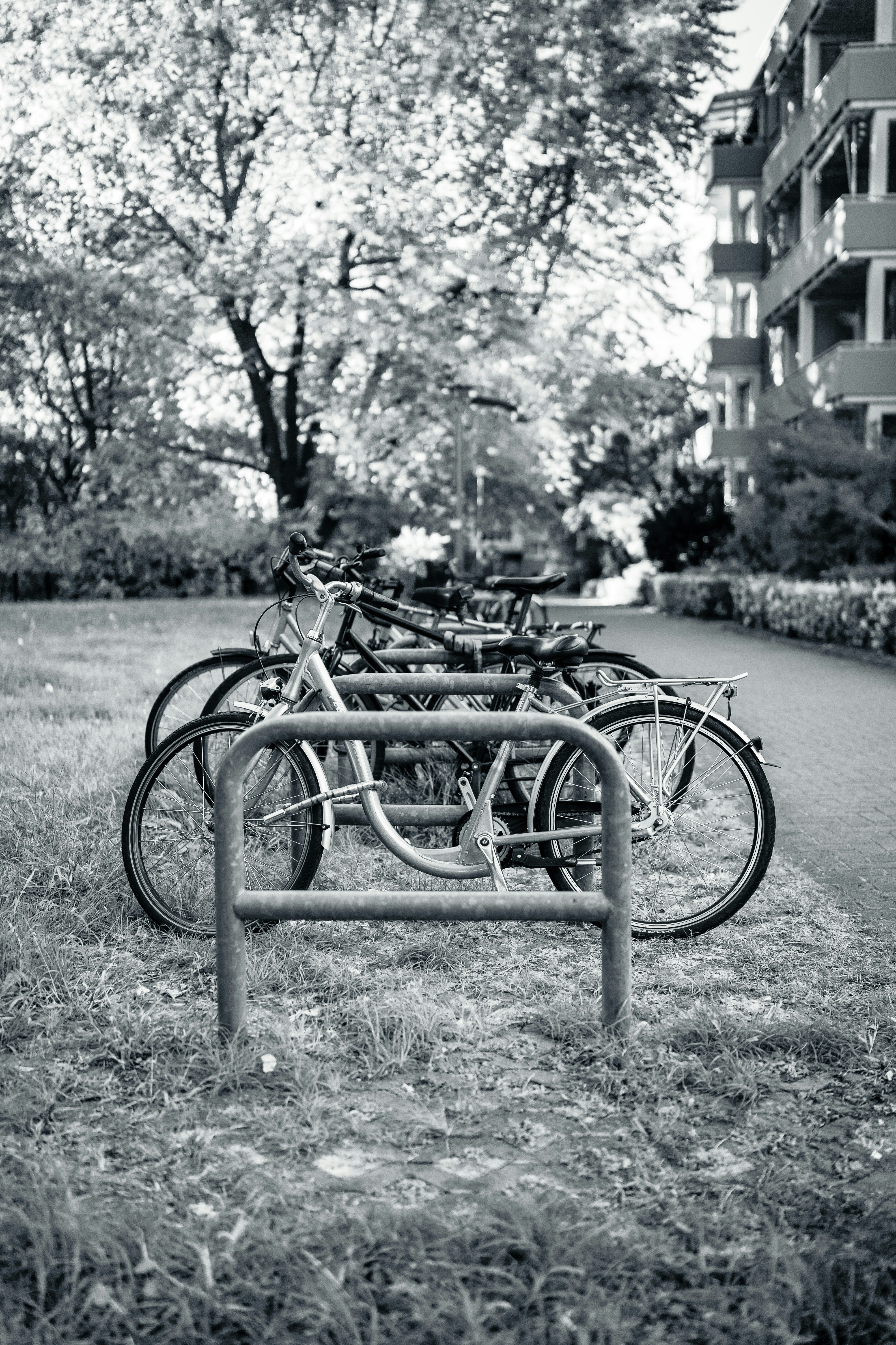 Photo by kaevin