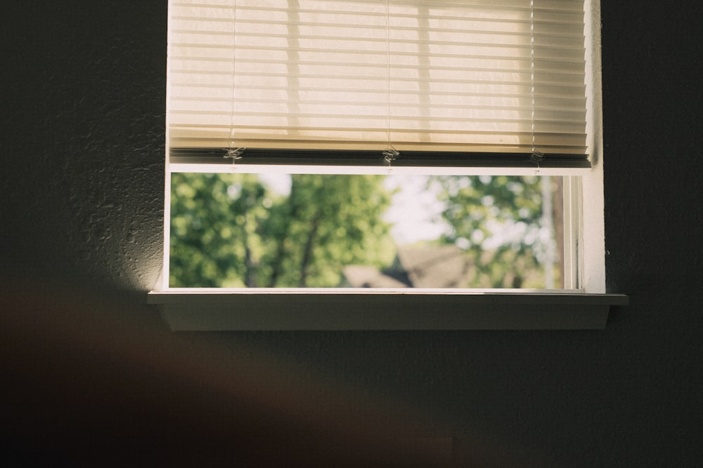 a window with a tree outside