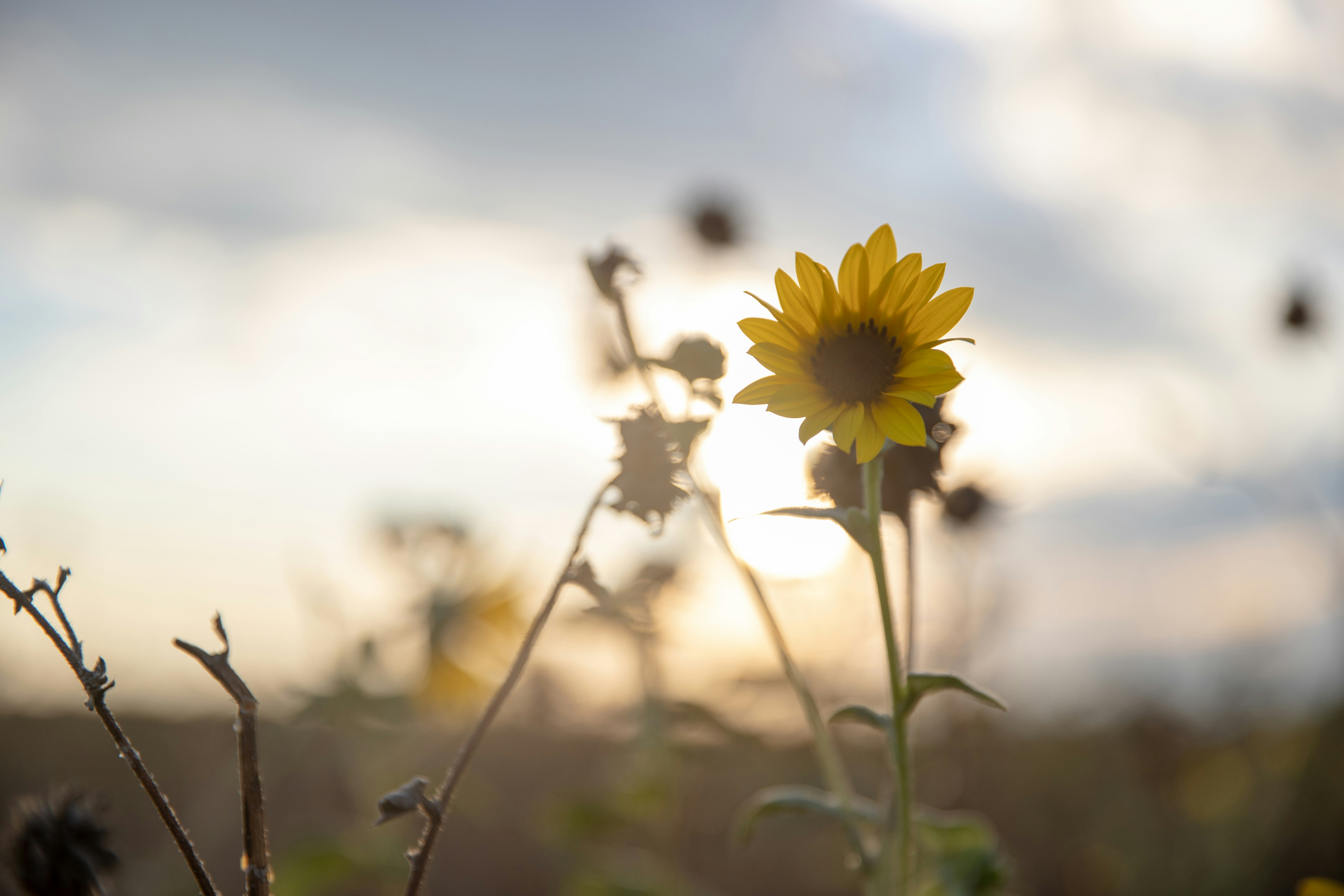 Photo by jakeforsher