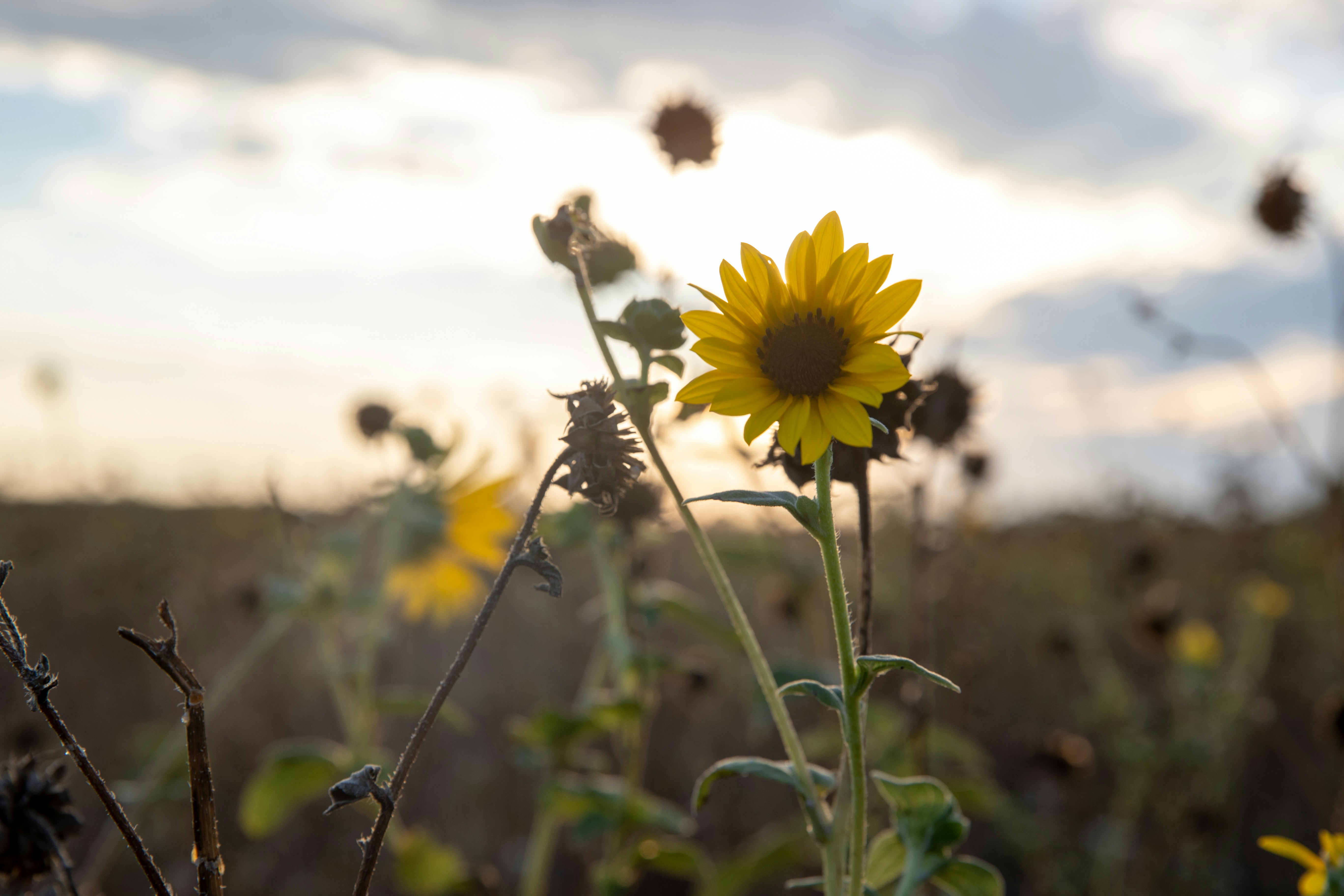 Photo by jakeforsher