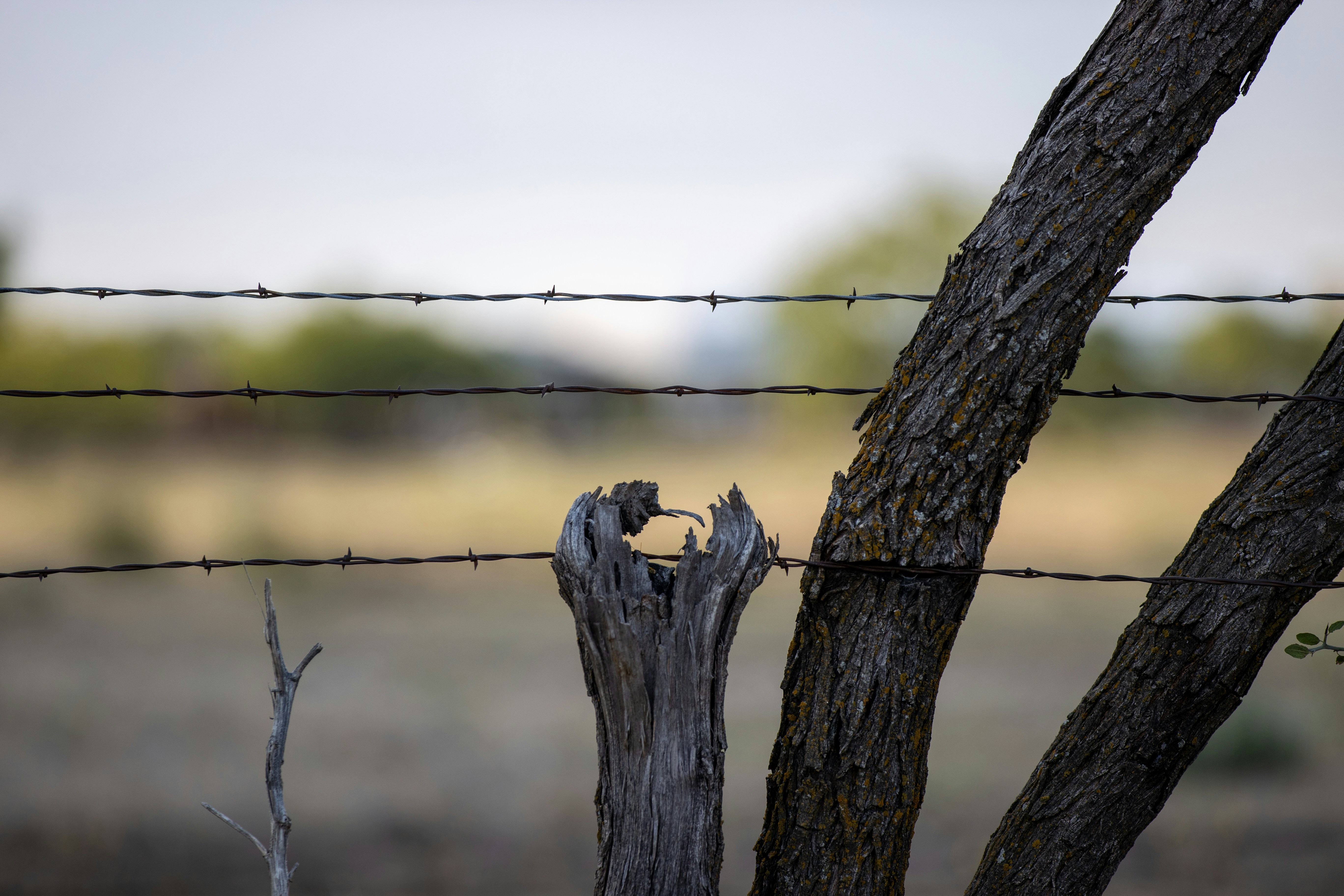 Photo by jakeforsher