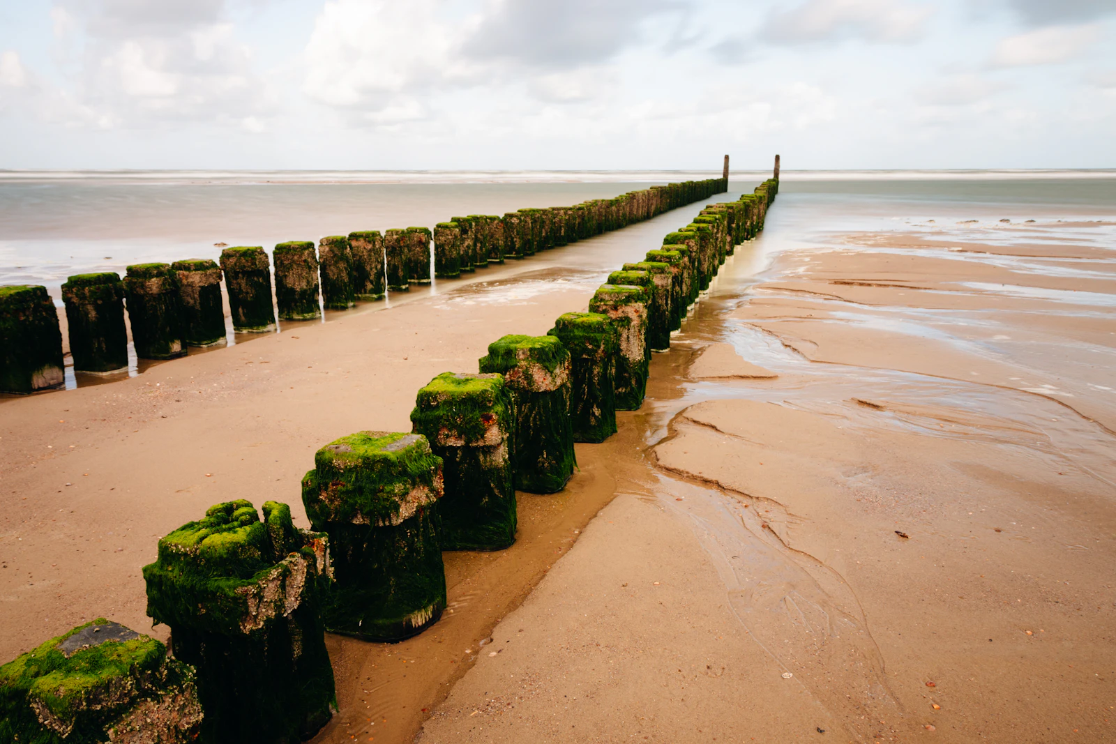 Wooden groynes stretch across a wide Zeeland beach