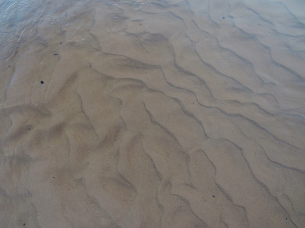 a close-up of a sand dune