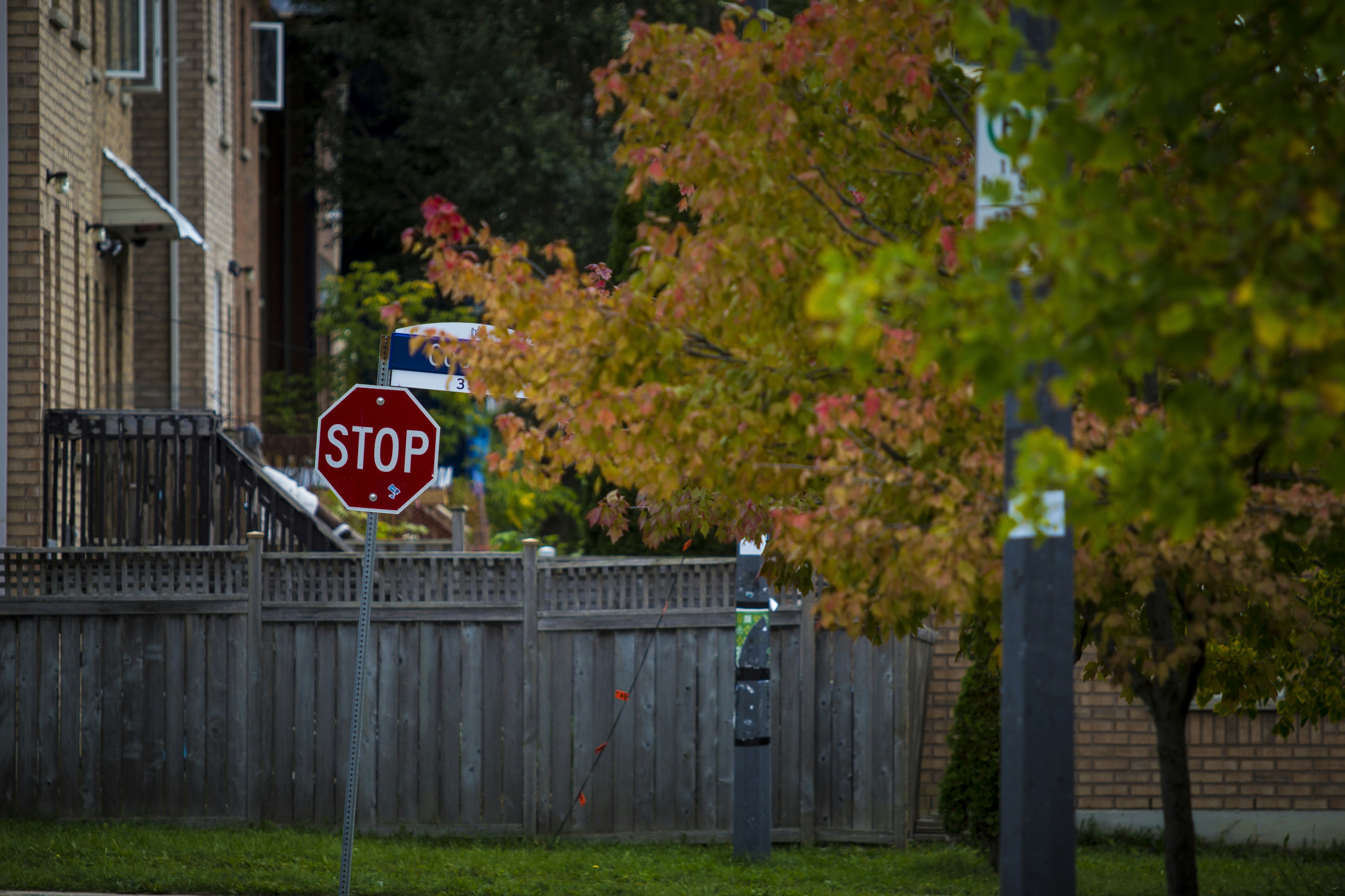 A stop sign on a pole photo – Free Brown Image on Unsplash