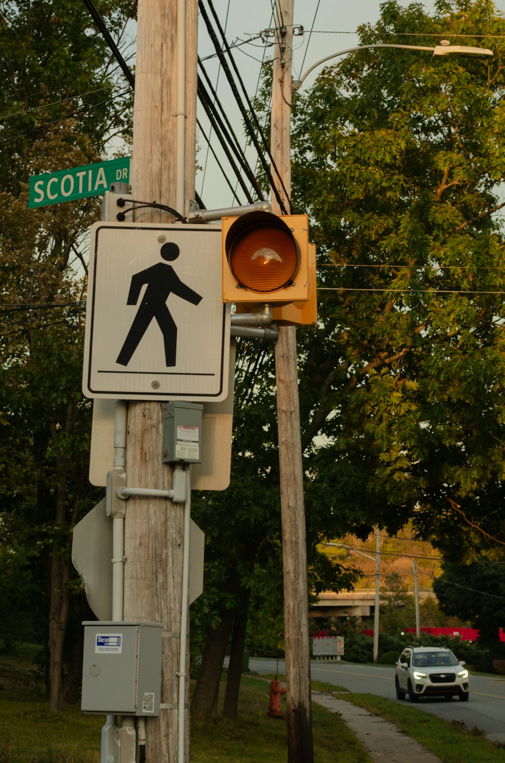 a traffic light is posted on a pole