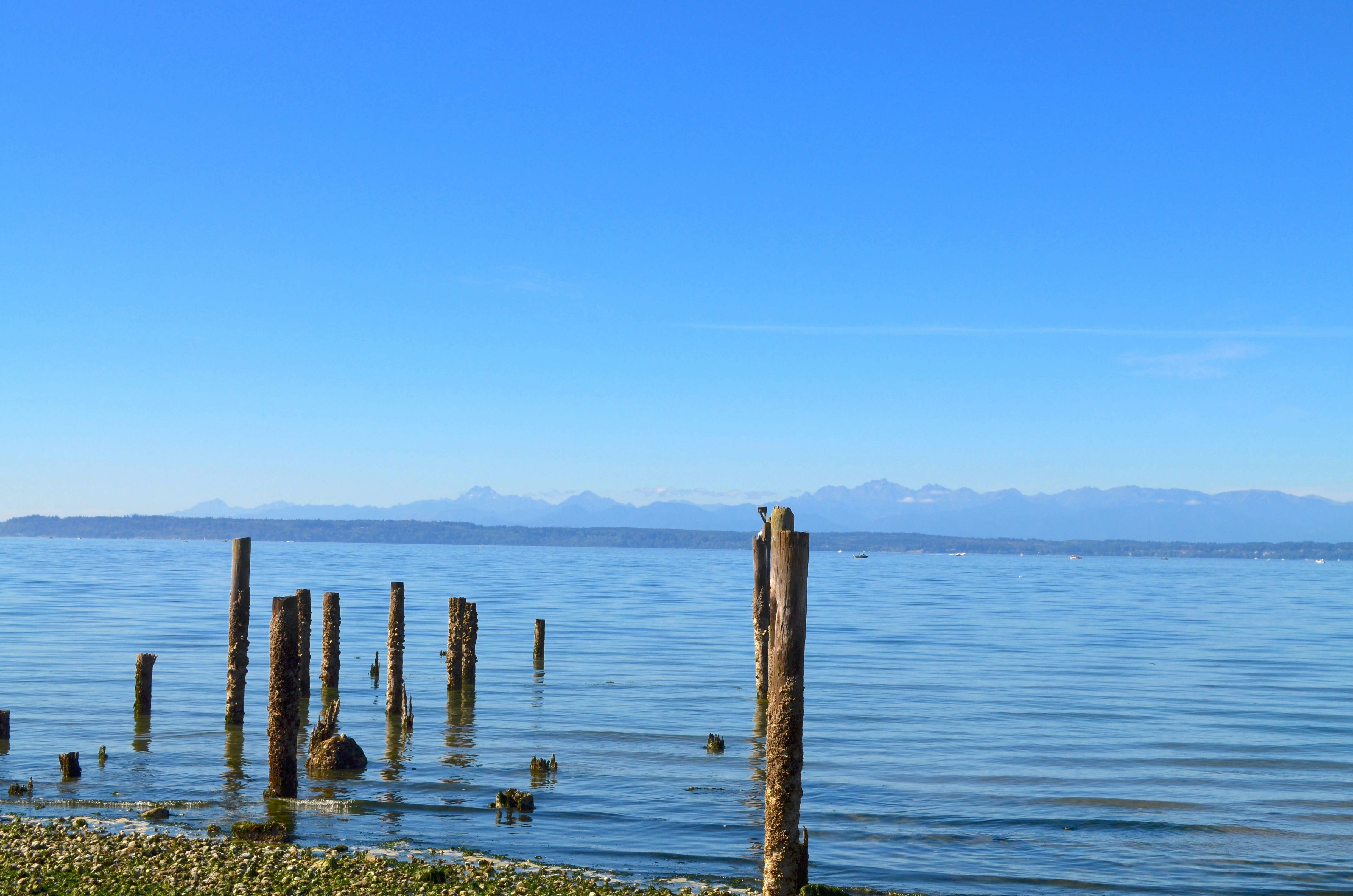 a body of water with a group of wooden posts in it