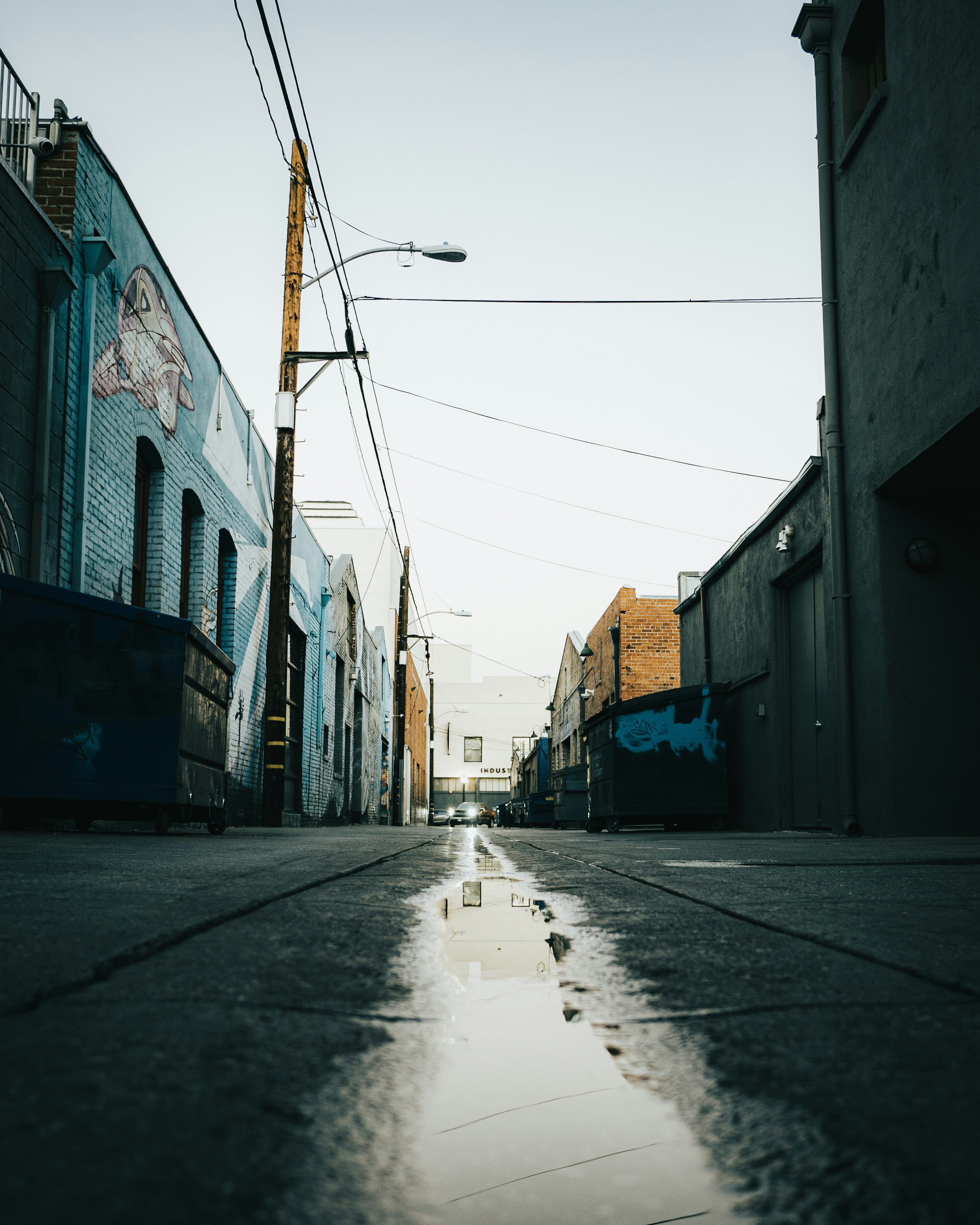 Photo by kingkonggeorge