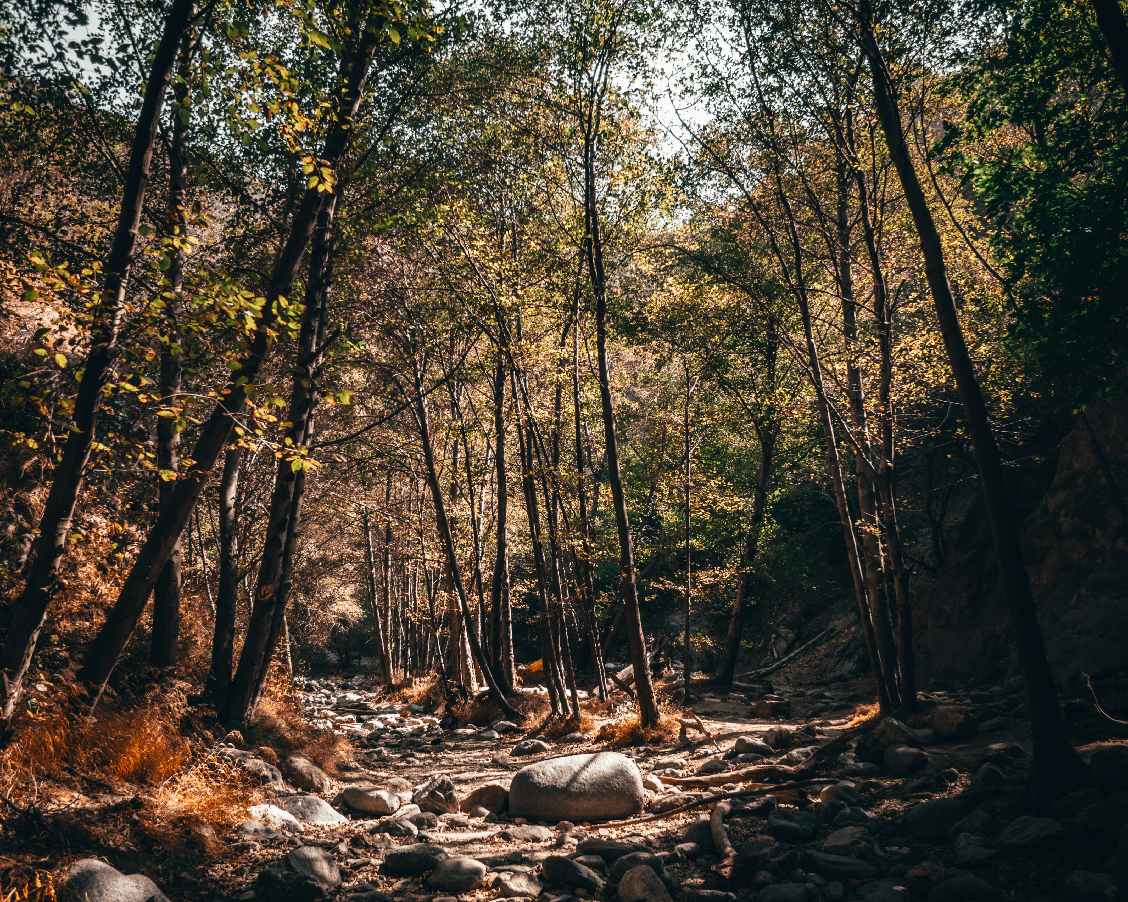 Photo by kingkonggeorge