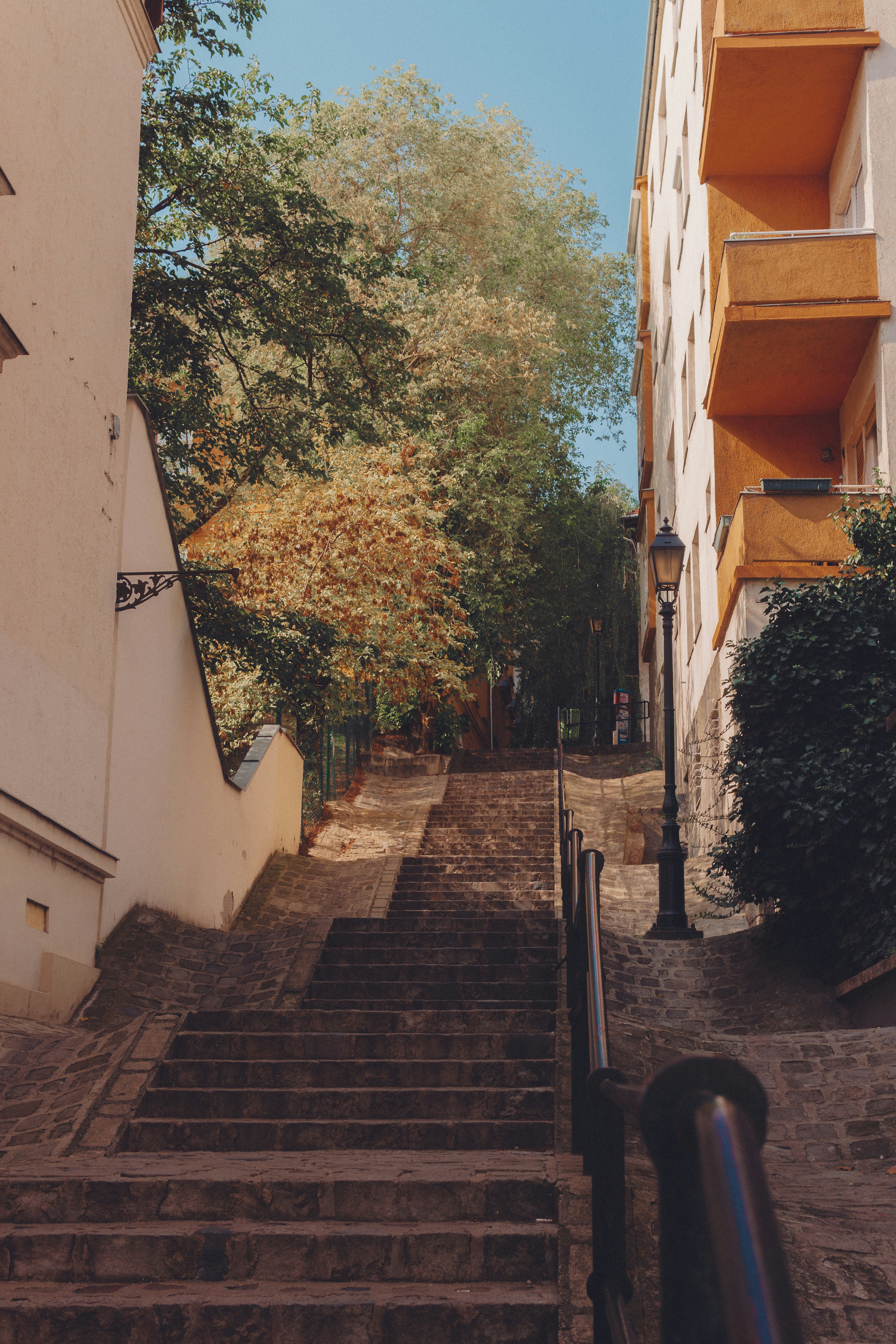 Photo by serenaclerio