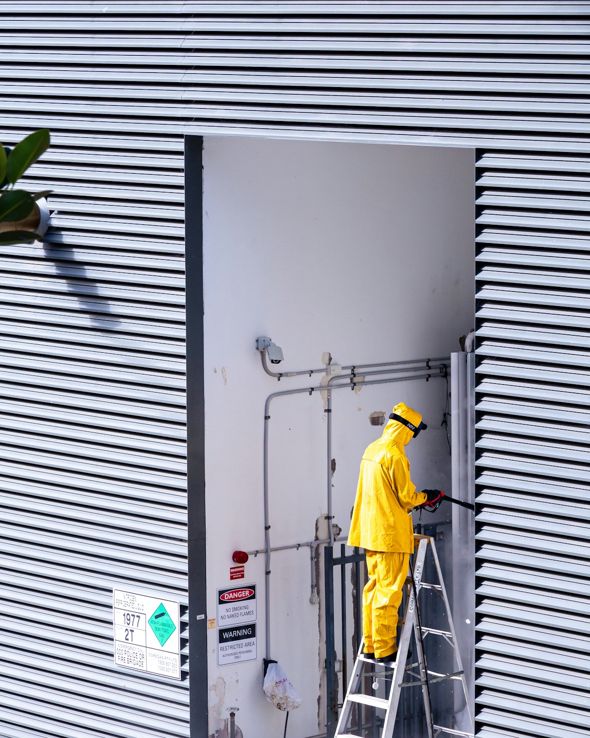 Commercial Pest Management image background image