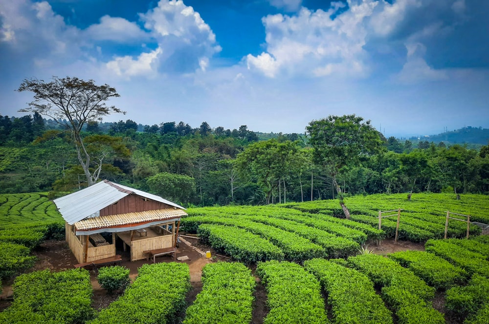 a house in a field