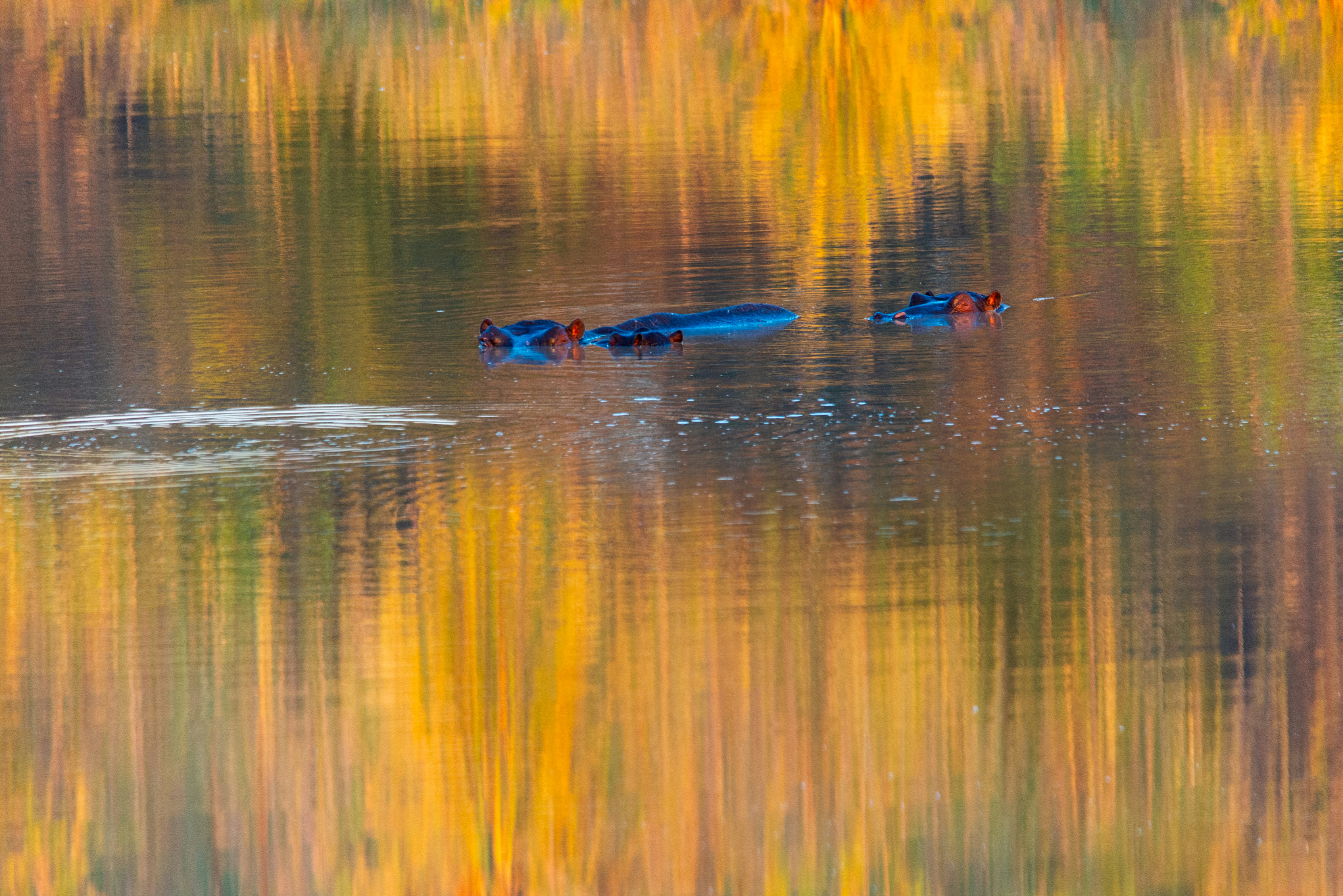 Photo by stewardesign