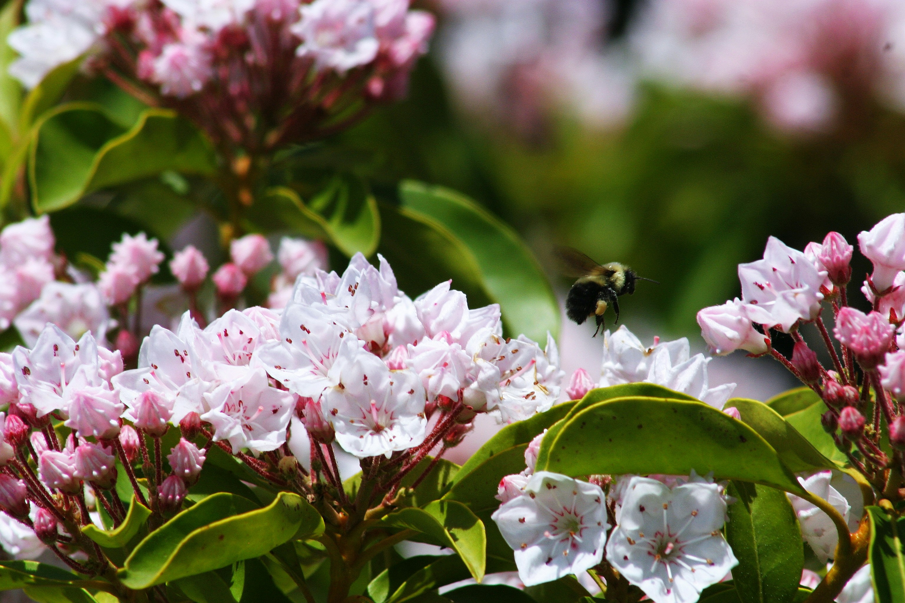 Photo by climatechangevi