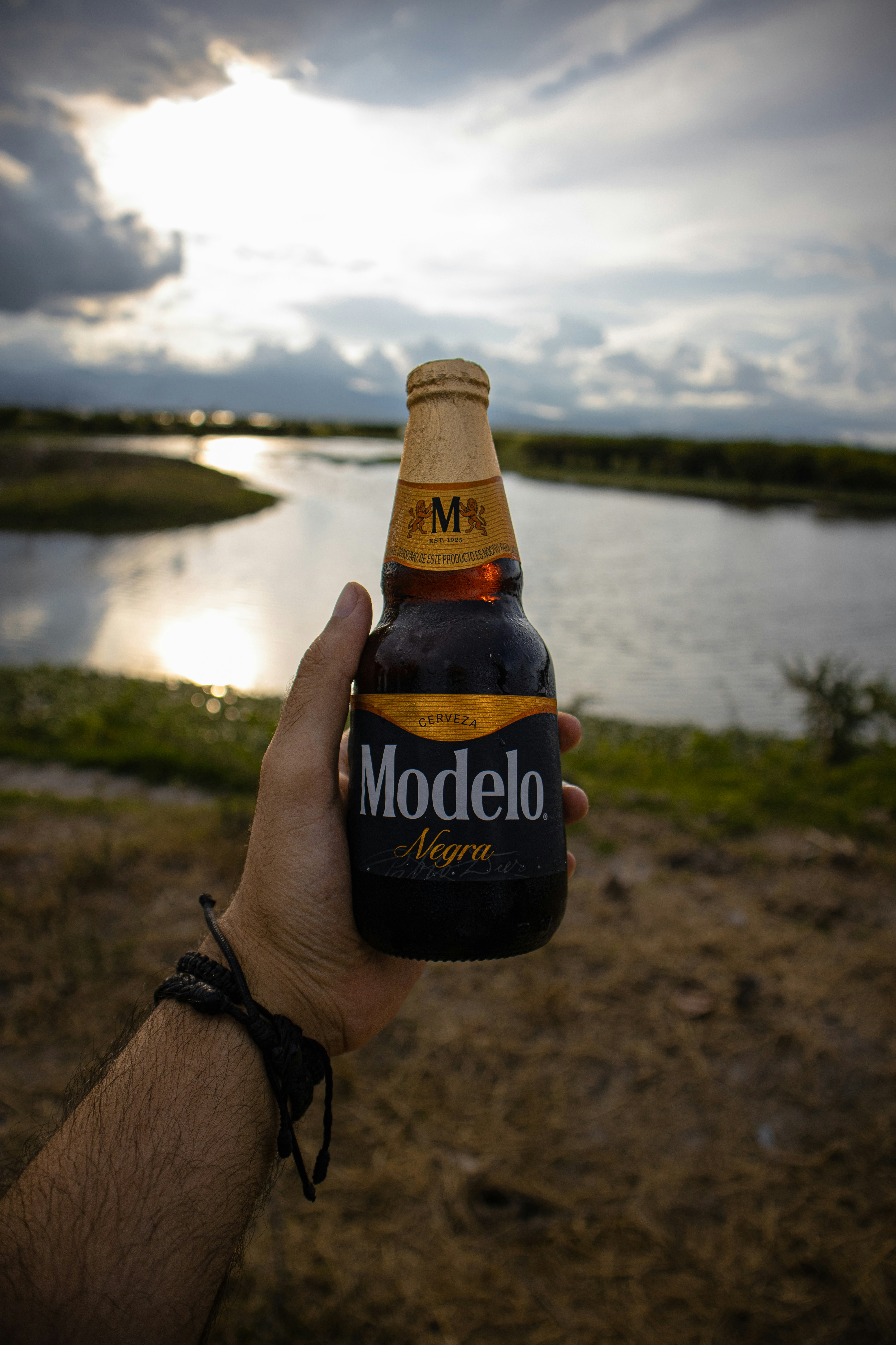 Cerveza Modelo Negra