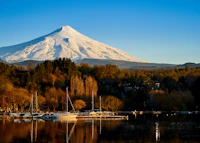 Best Affordable Bars in Pucon Where You Can Actually Afford a Round