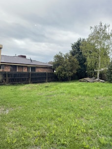 A suburban backyard featuring a lush green lawn, bordered by a wooden fence and a few trees. In the background, there is a brick house with a tiled roof. The sky is overcast, giving a calm and quiet atmosphere.