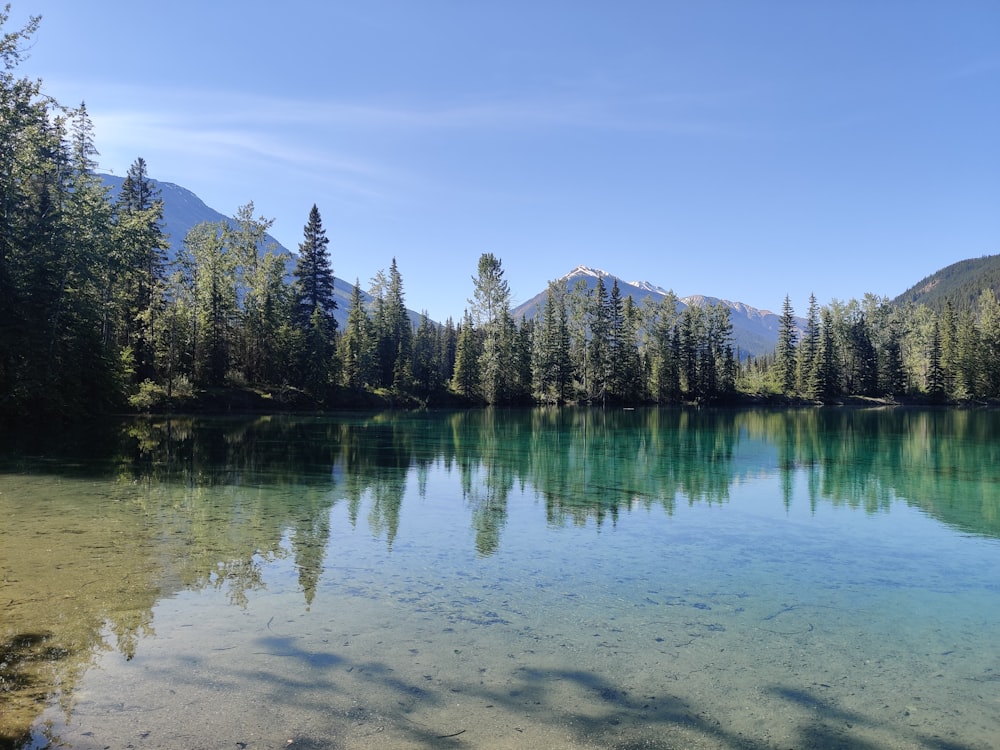 a lake with trees and mountains in the background