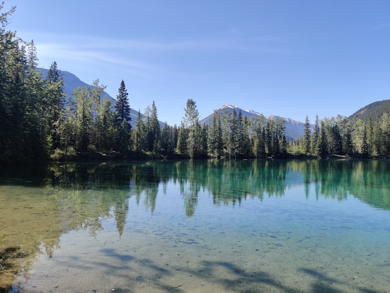 See mit Wald und Bergen im Hintergrund