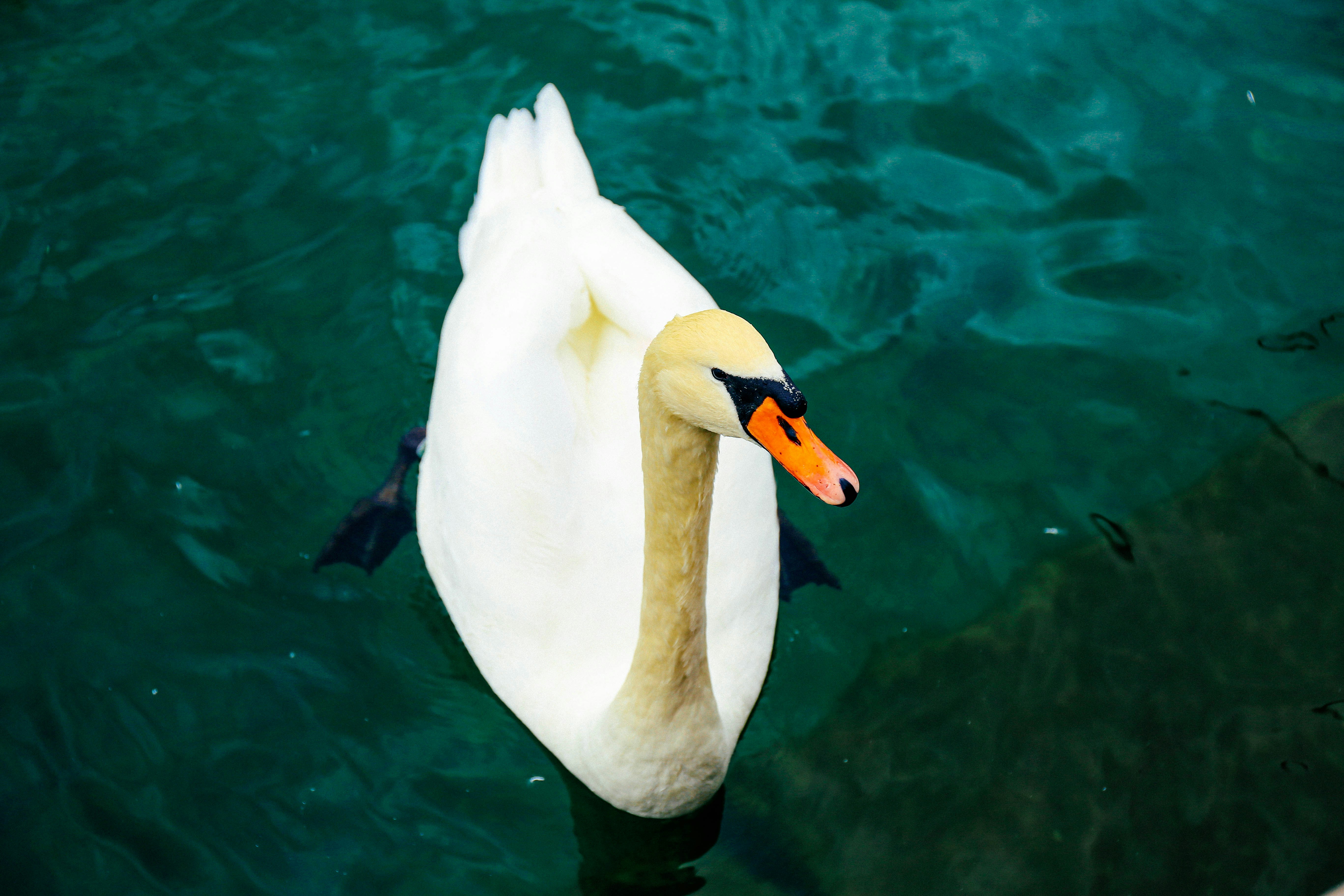 Photo by tommaomaoer