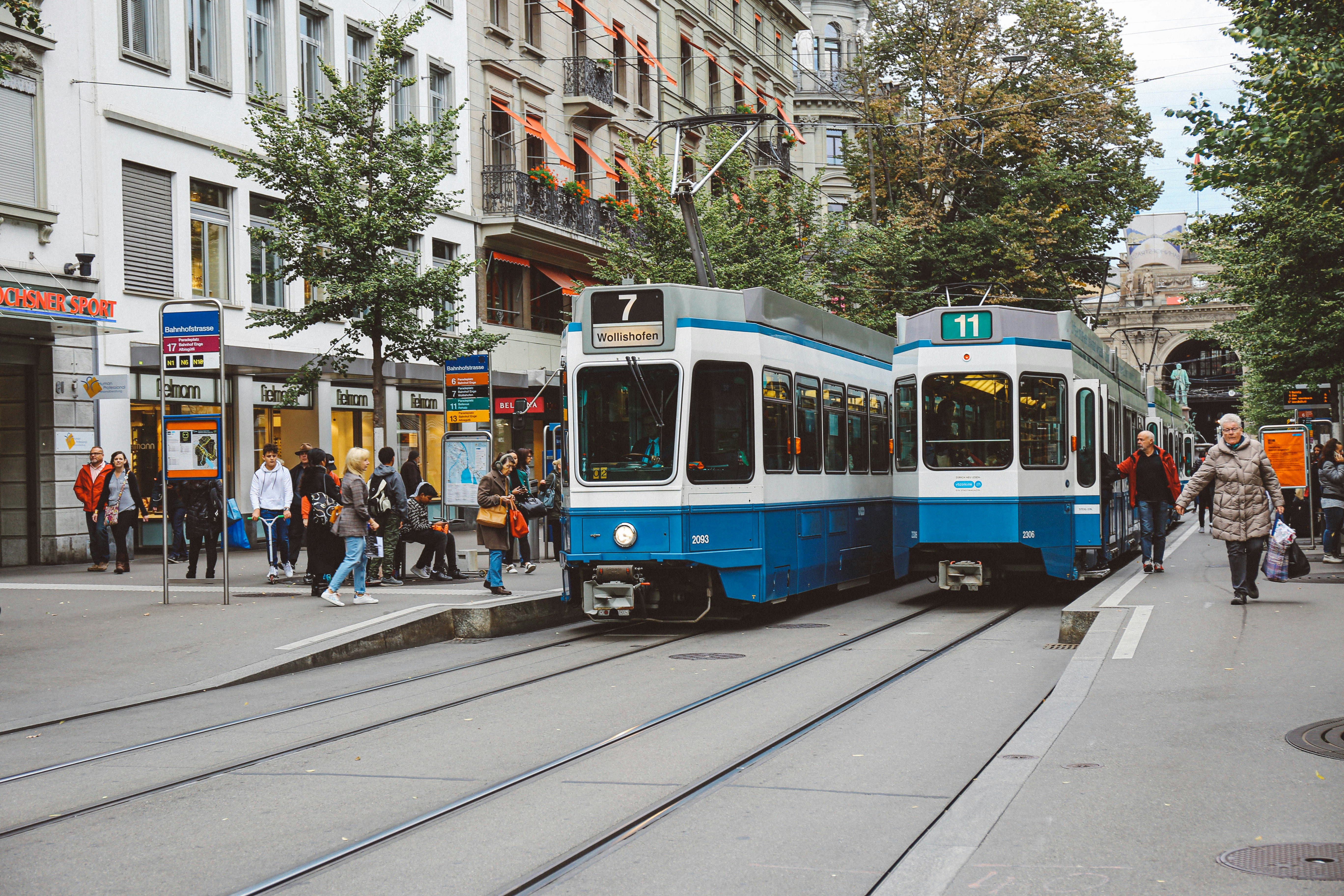 Photo by tommaomaoer