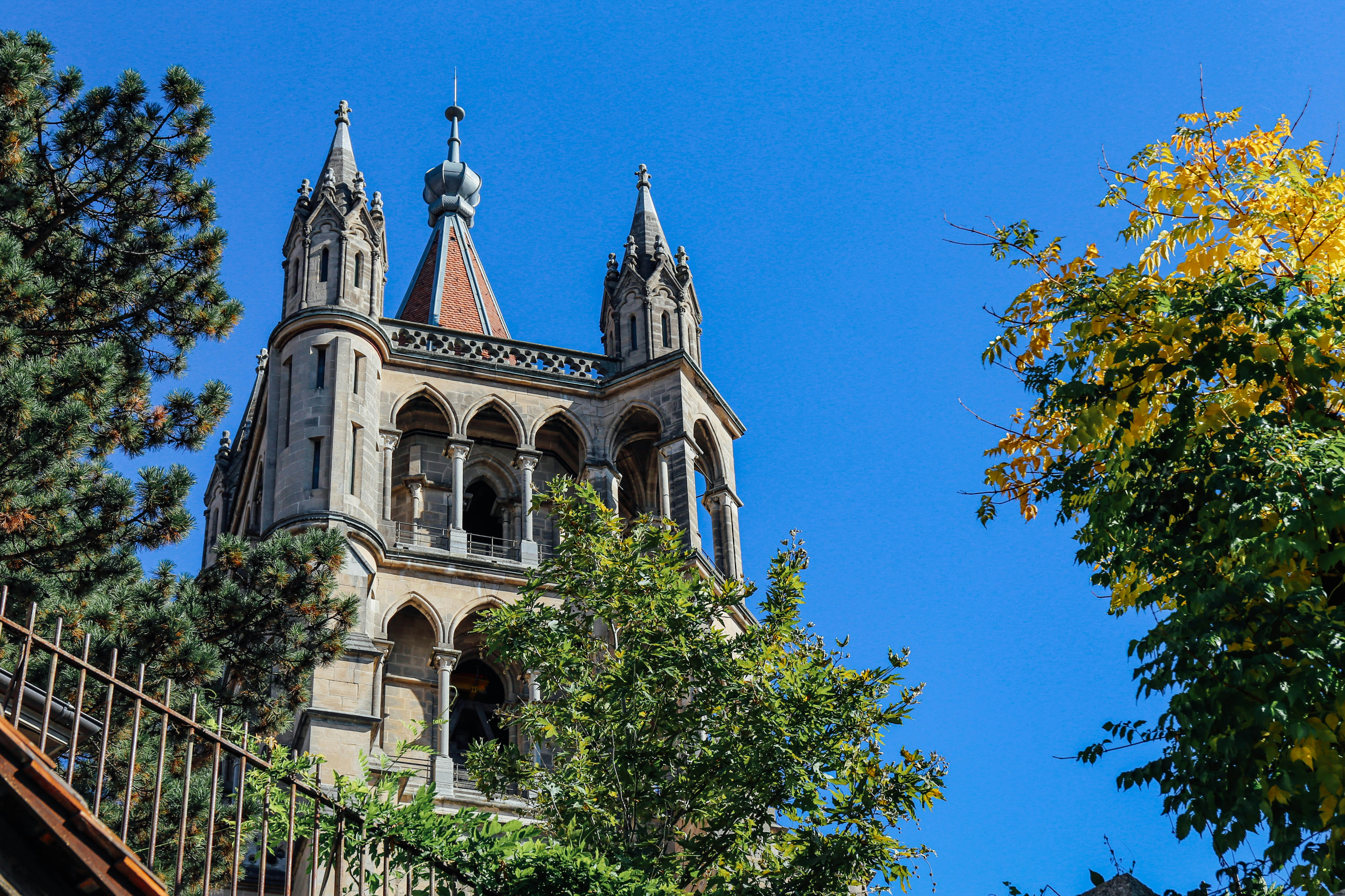 Photo by tommaomaoer