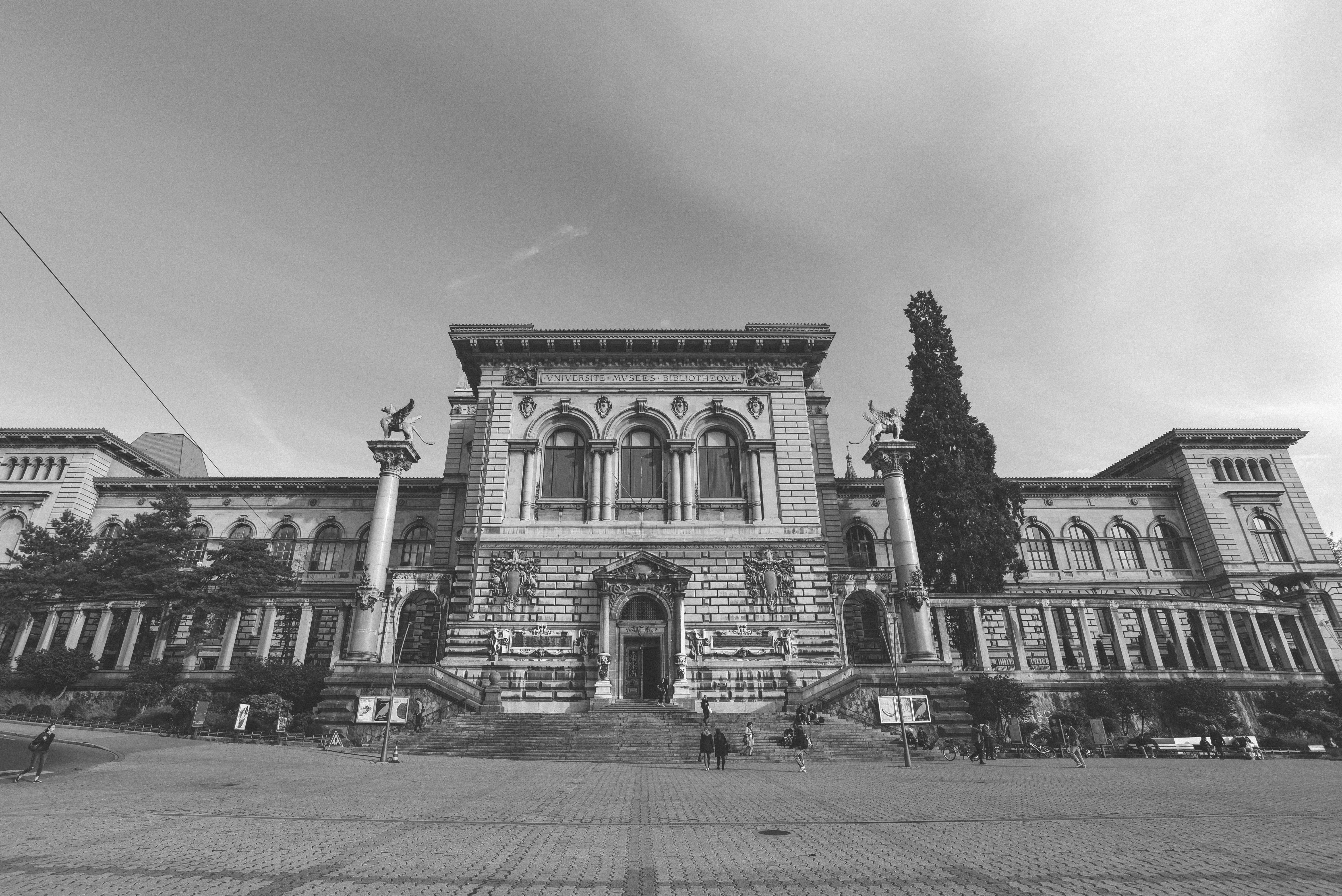 Photo by tommaomaoer