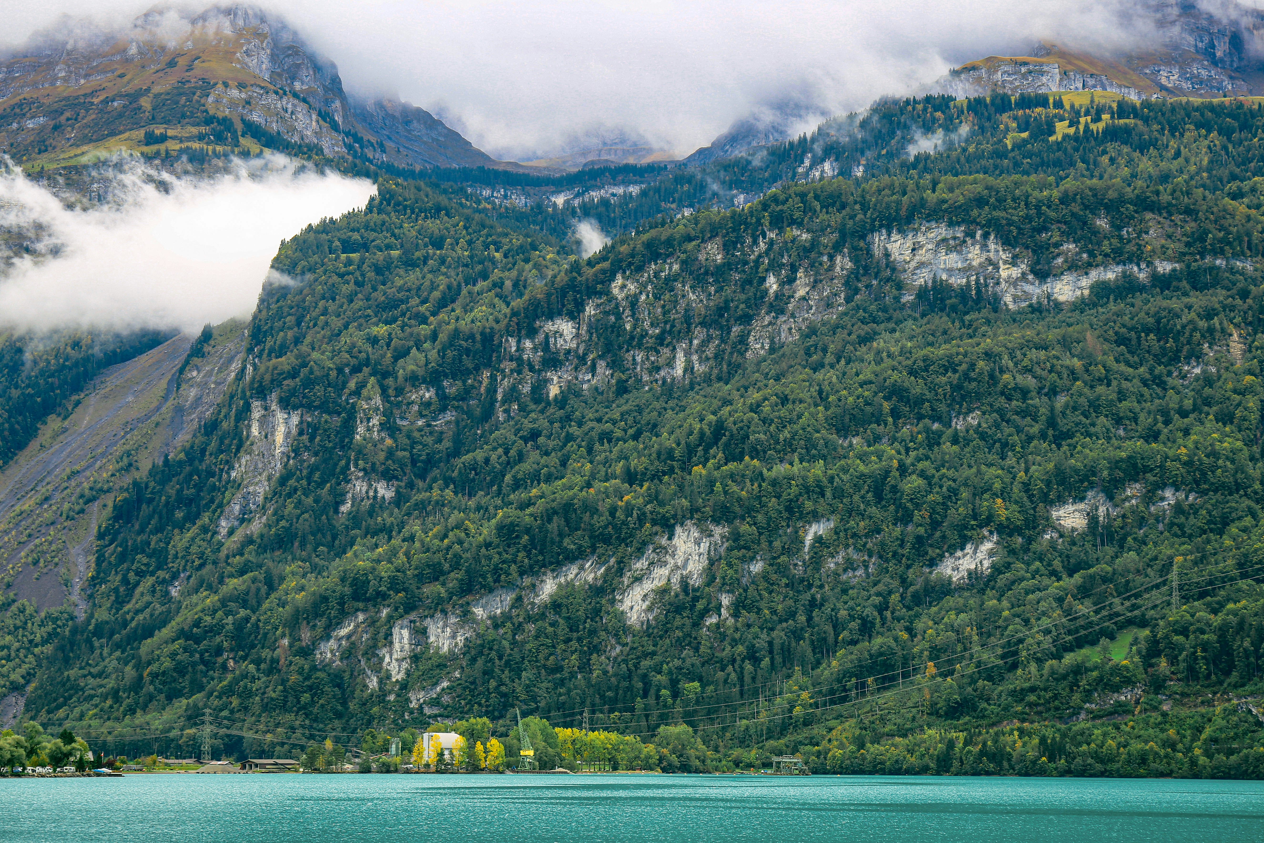 Photo by tommaomaoer