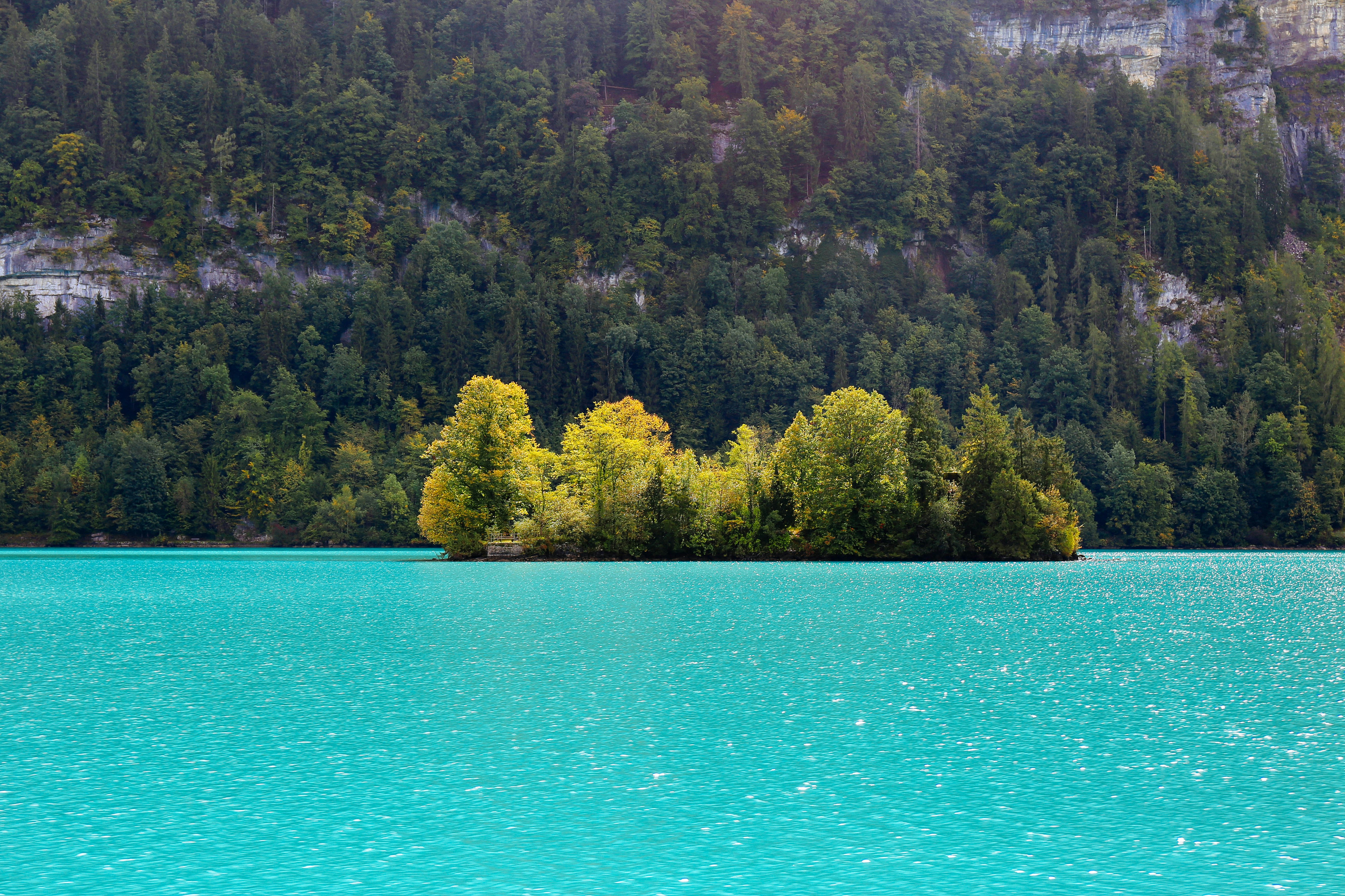 Photo by tommaomaoer