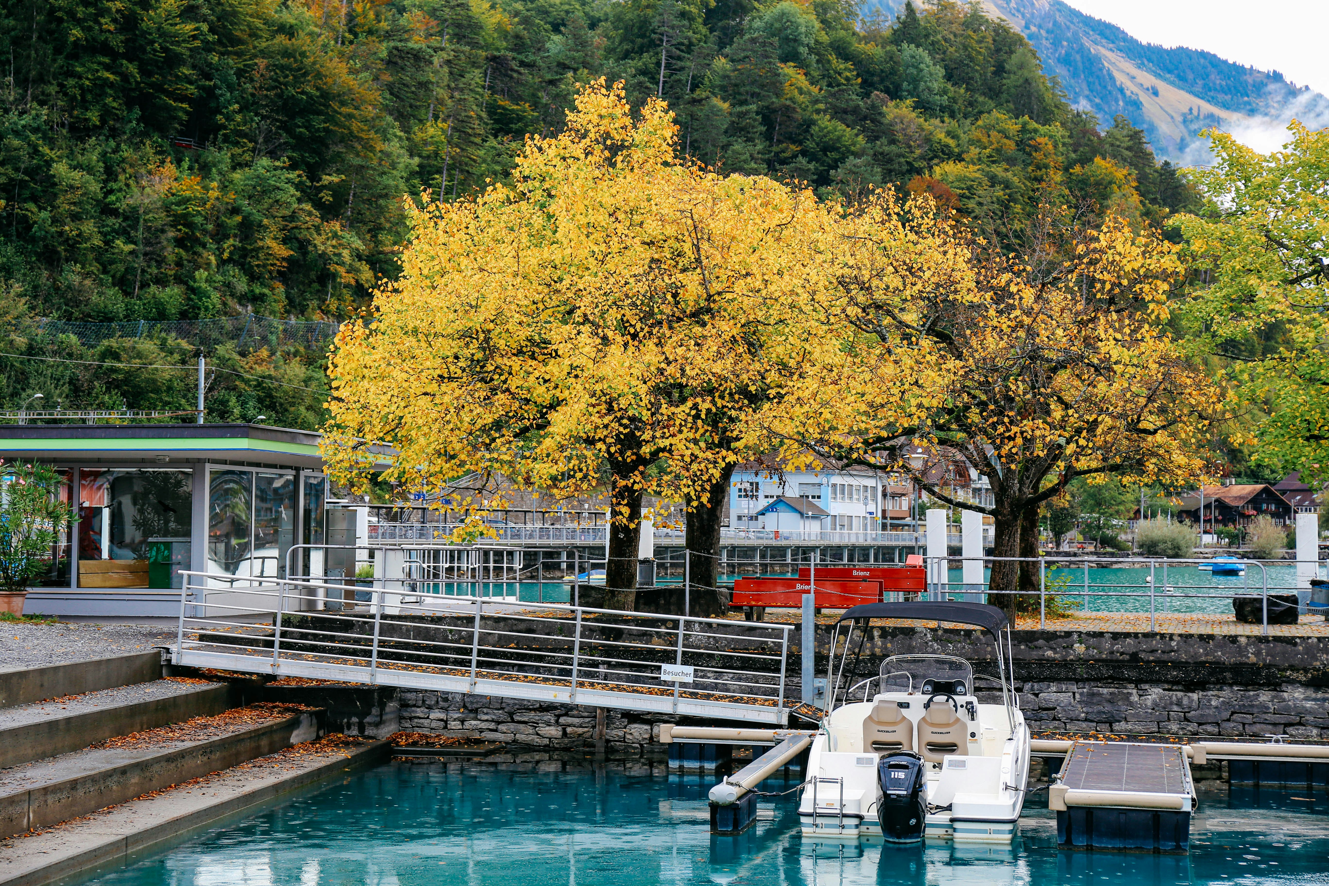 Photo by tommaomaoer