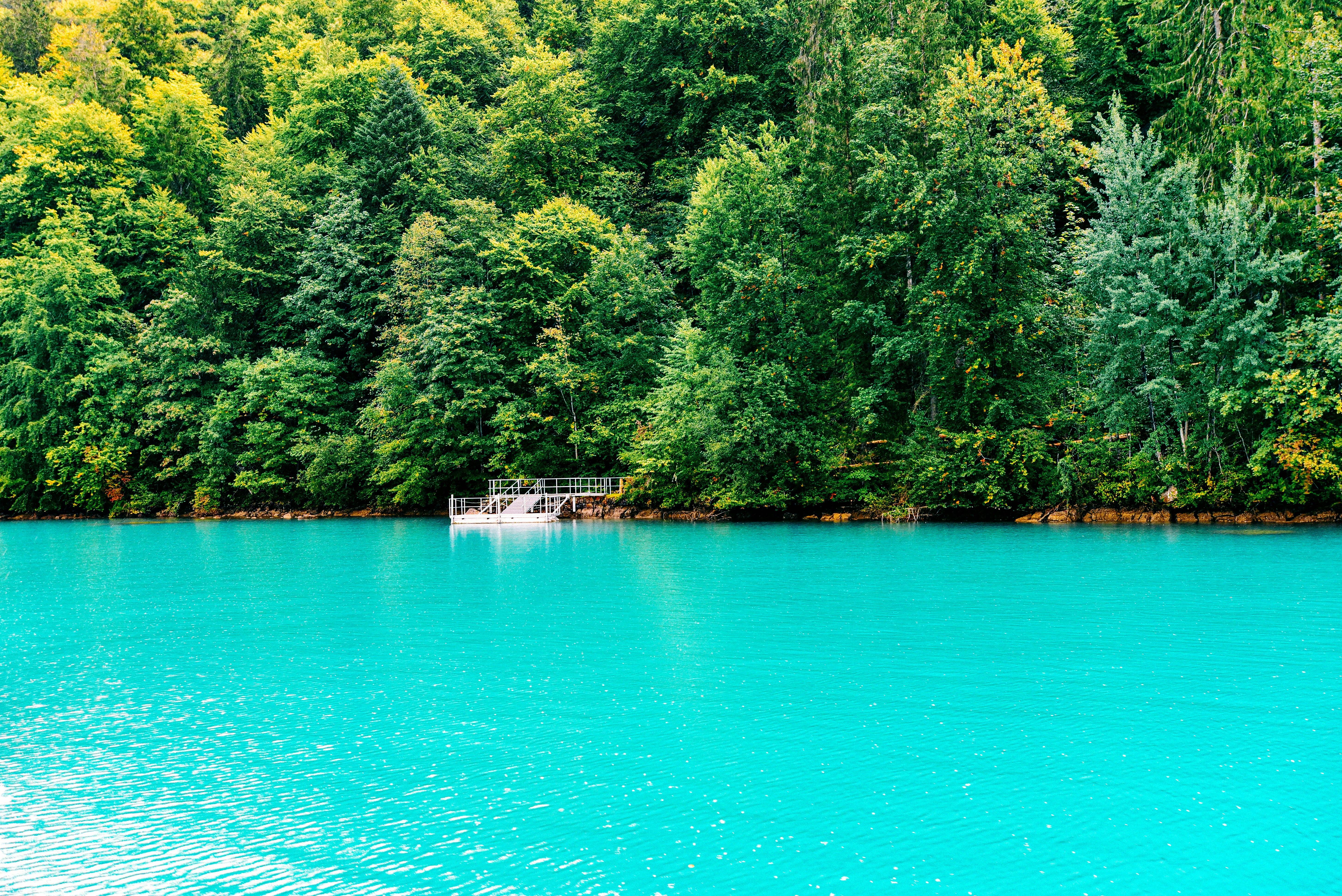 Photo by tommaomaoer