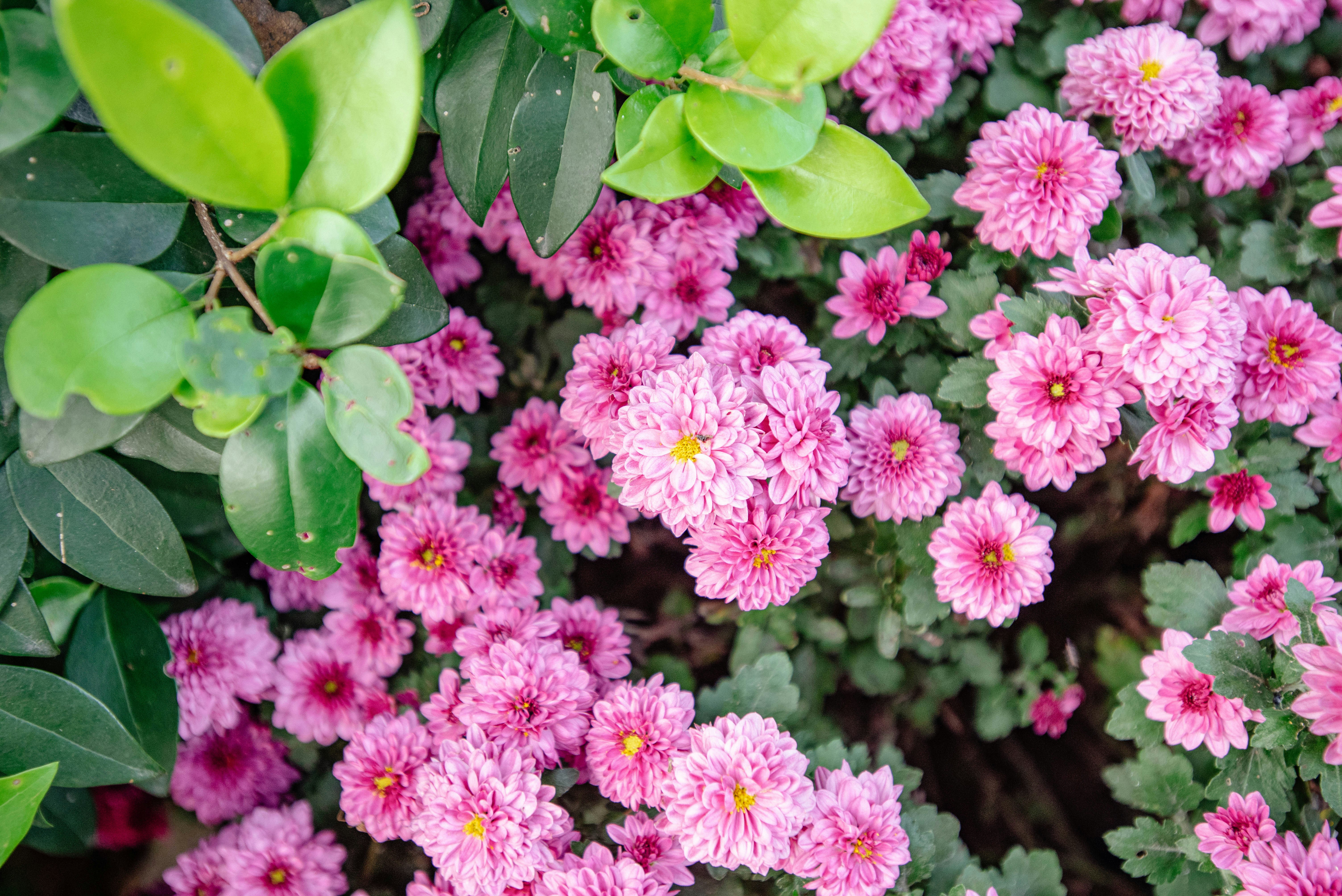 Photo by tommaomaoer