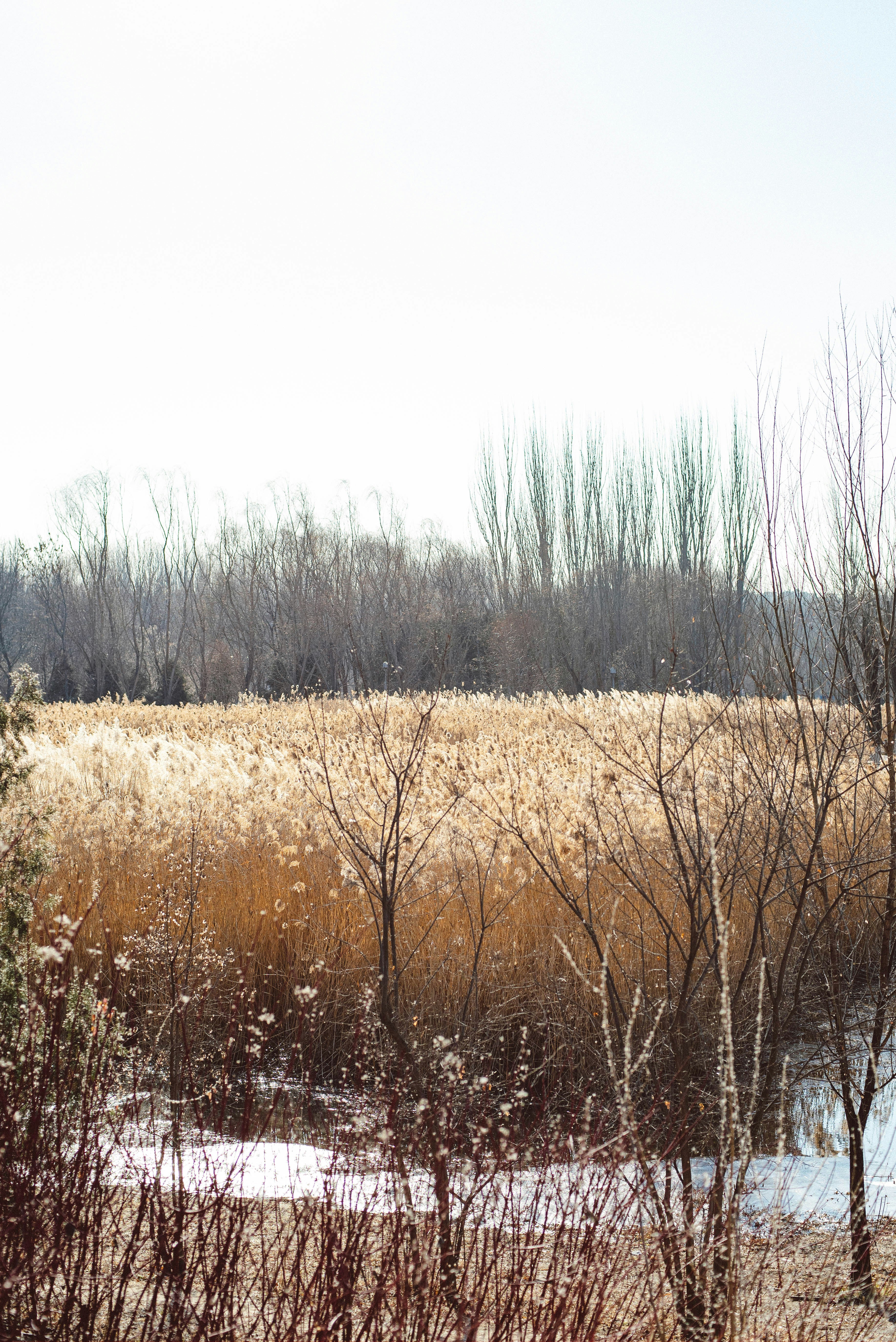 Photo by tommaomaoer