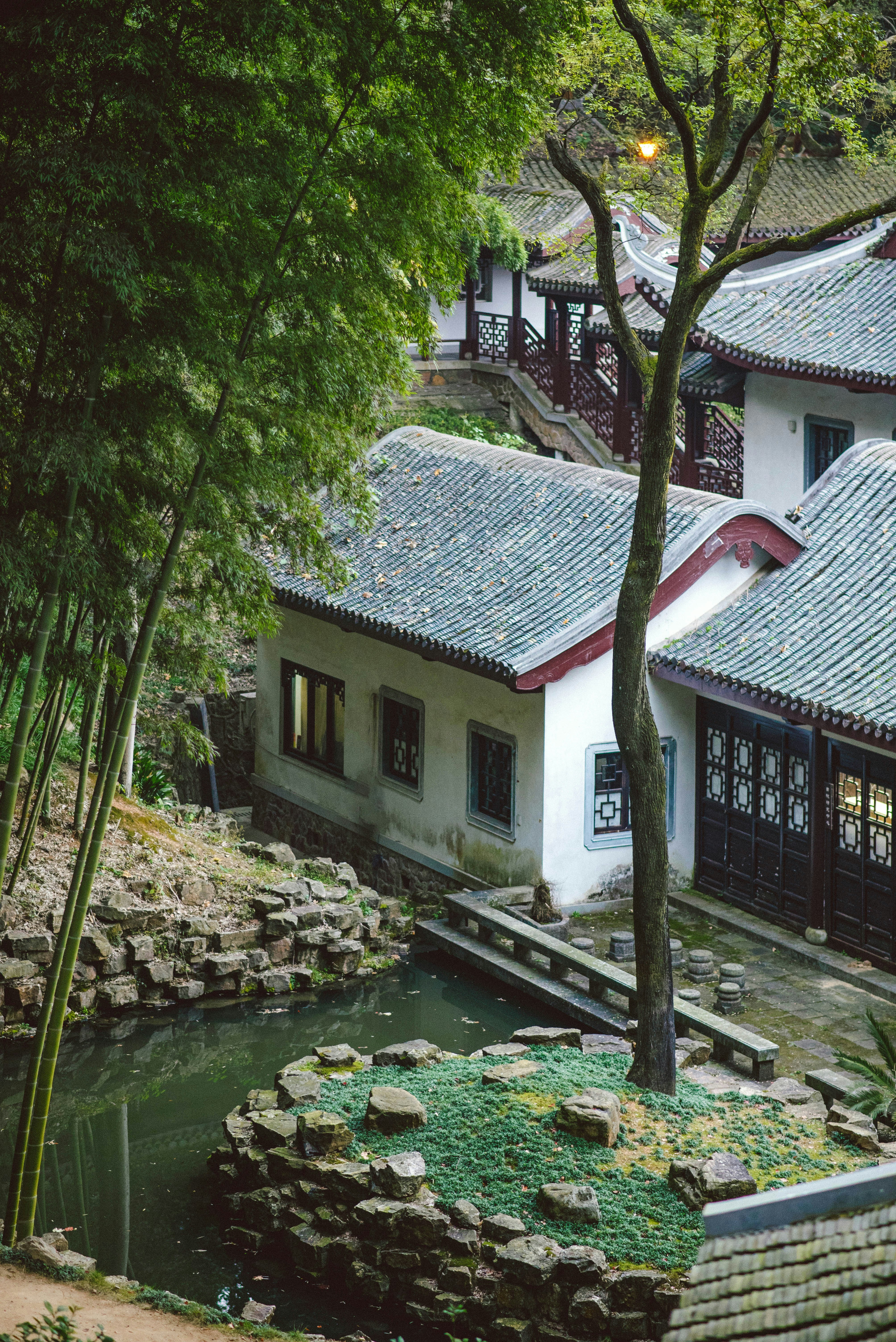 Photo by tommaomaoer