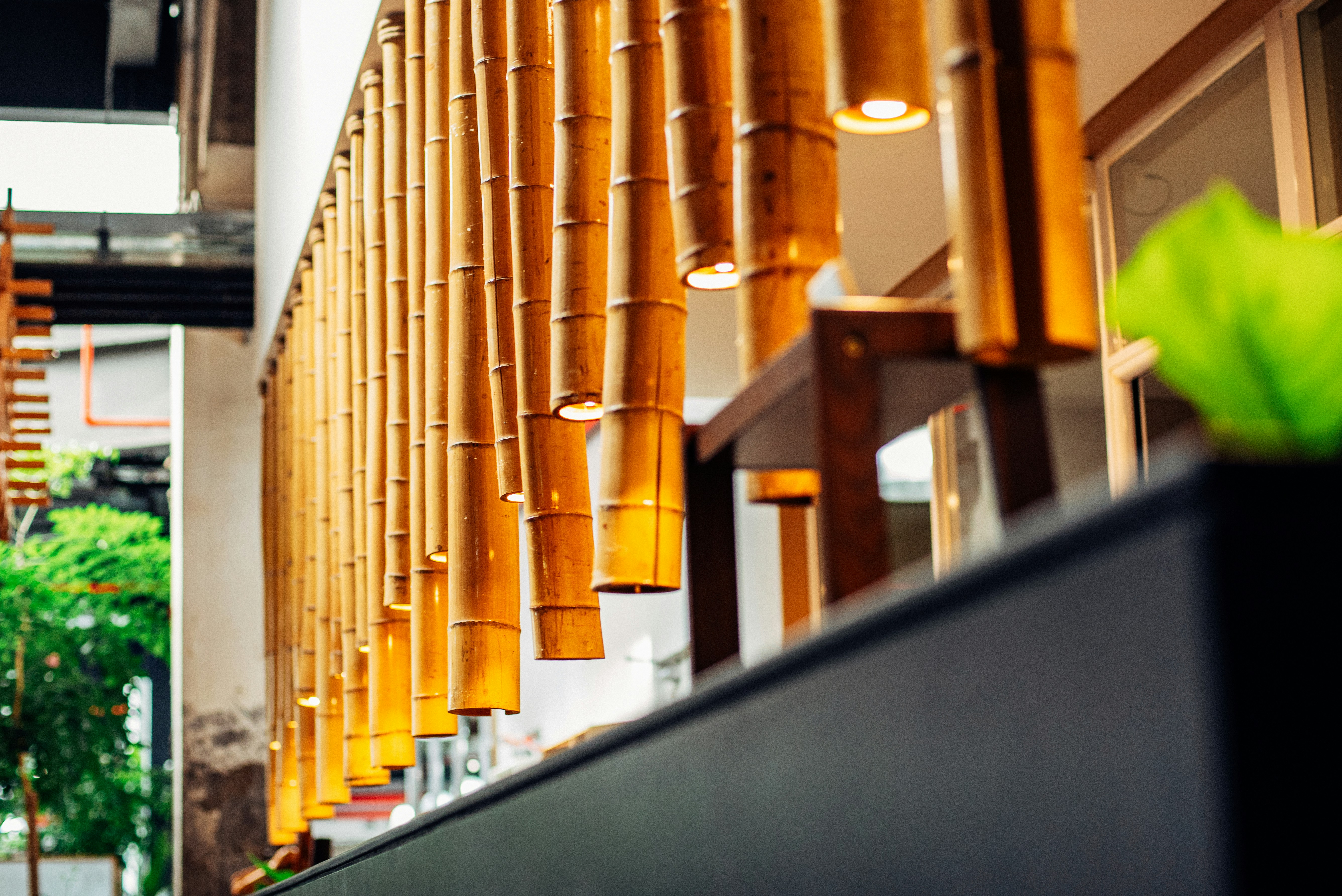 Photo by tommaomaoer