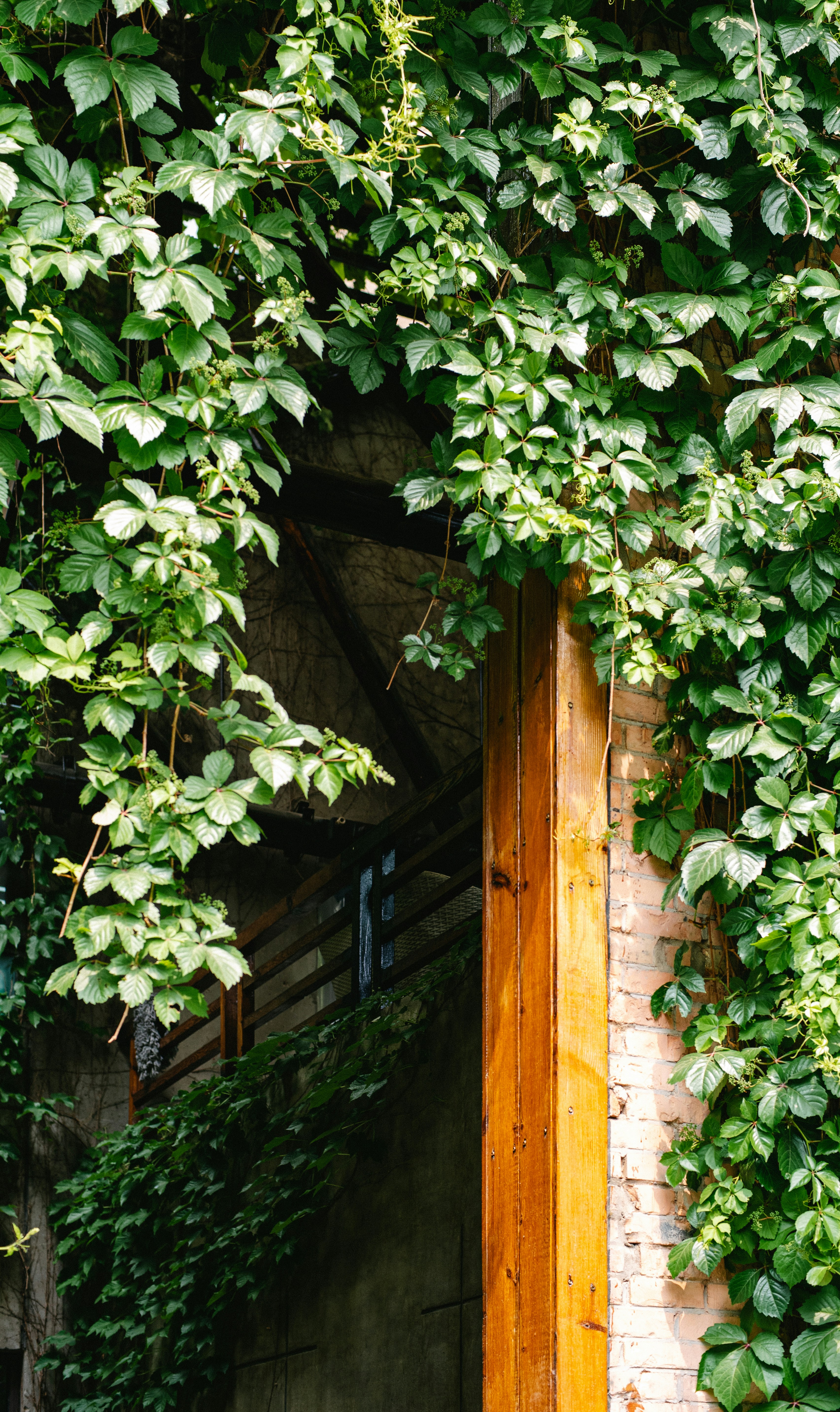 Photo by tommaomaoer