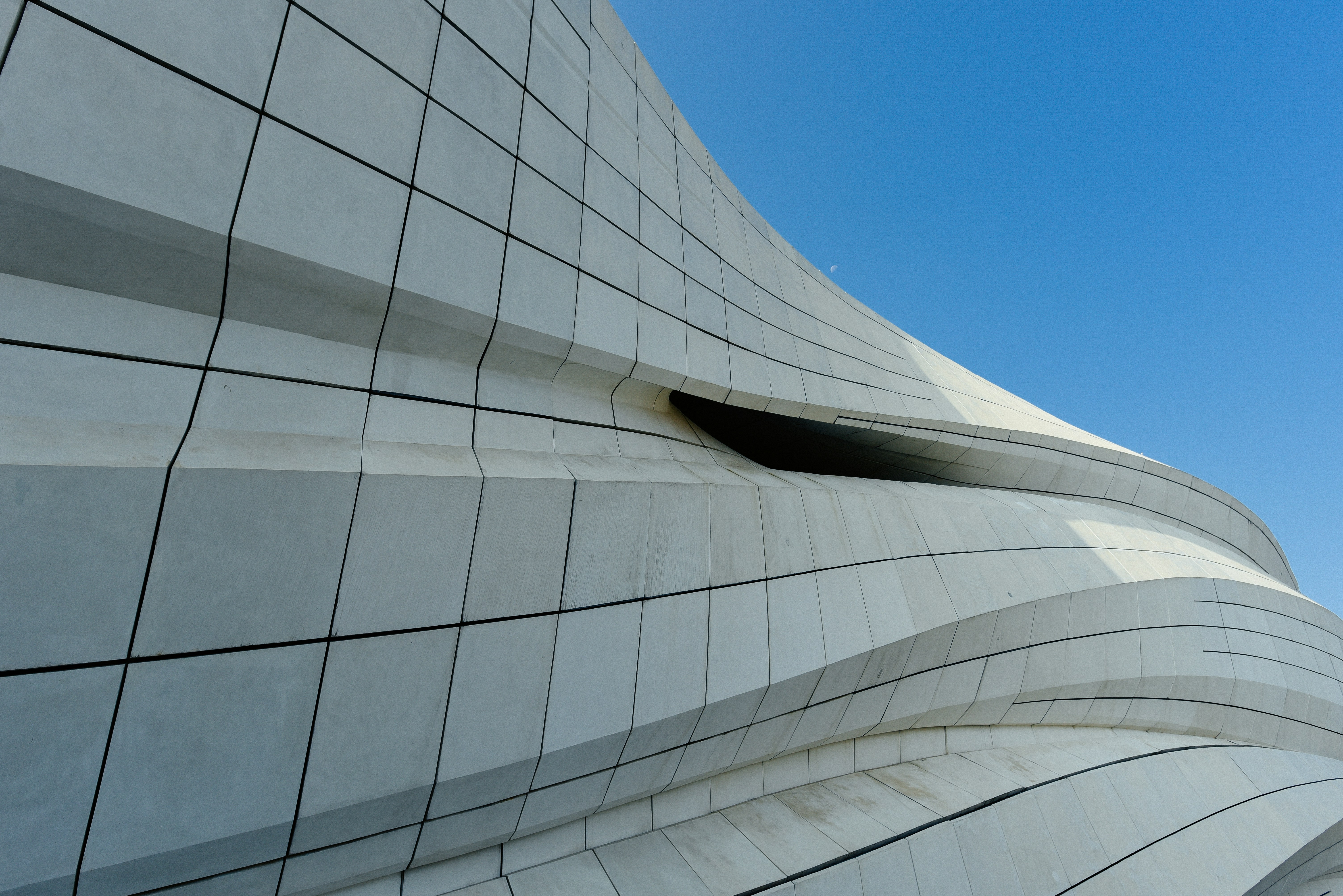 Photo by tommaomaoer