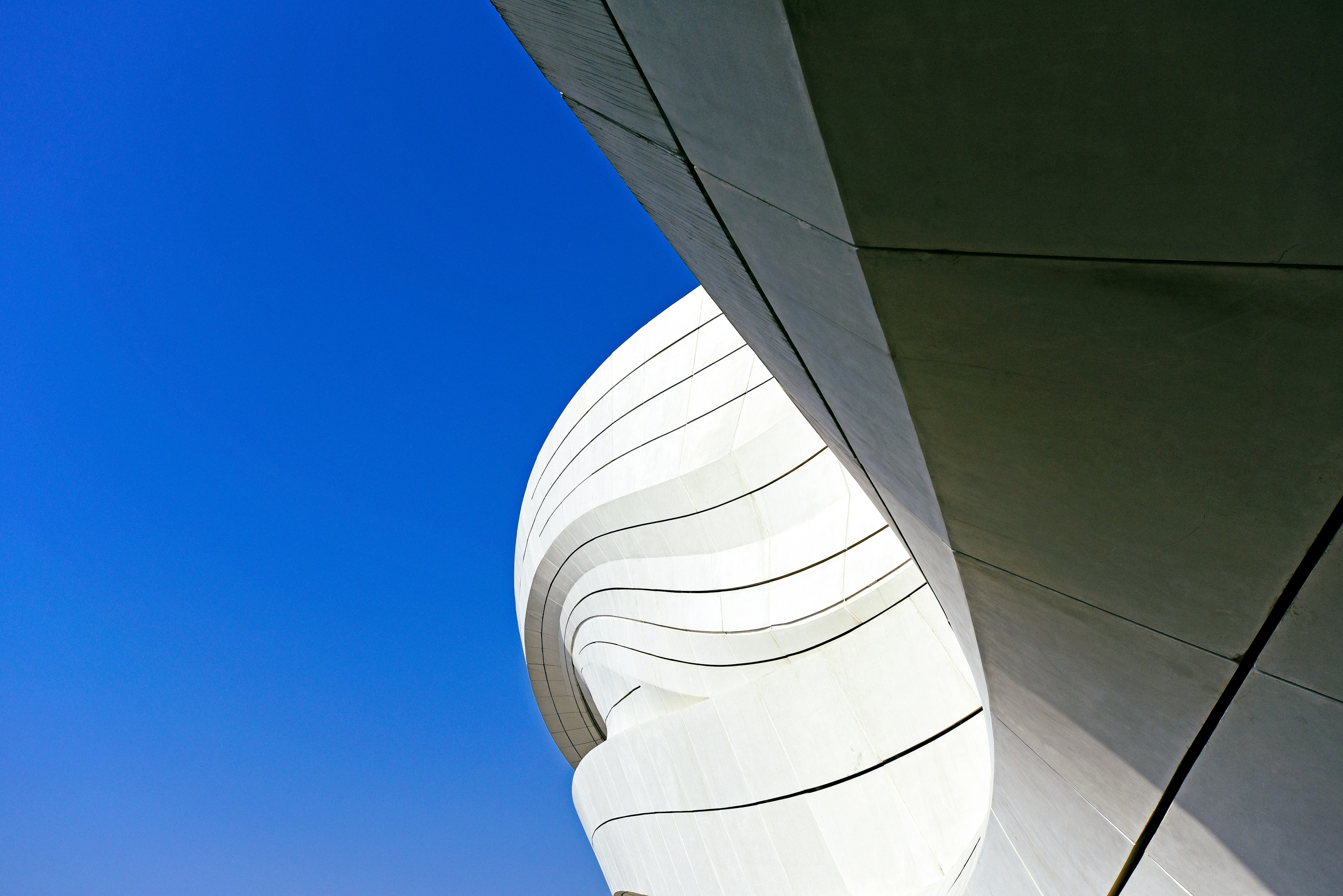 Photo by tommaomaoer