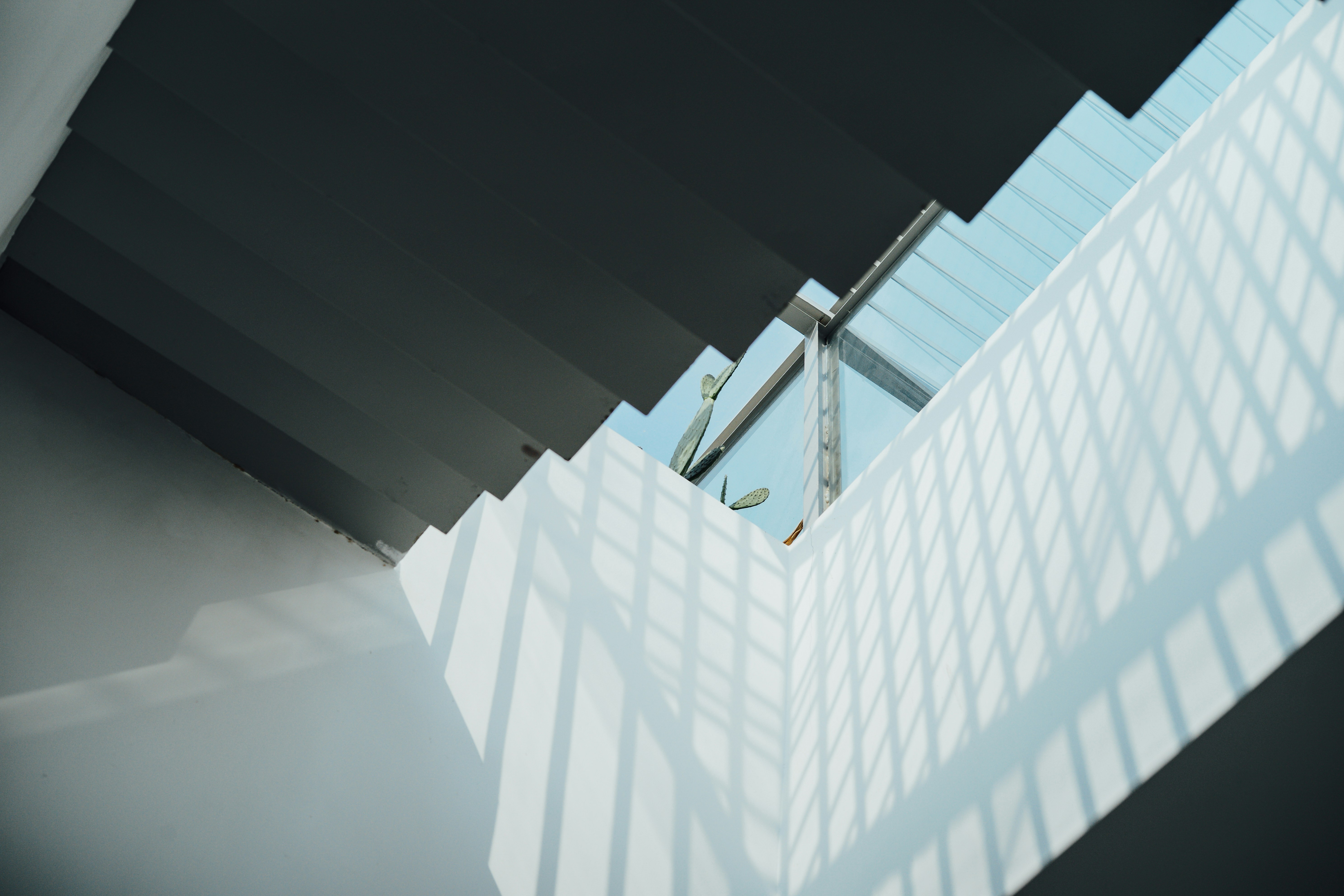 Photo by tommaomaoer