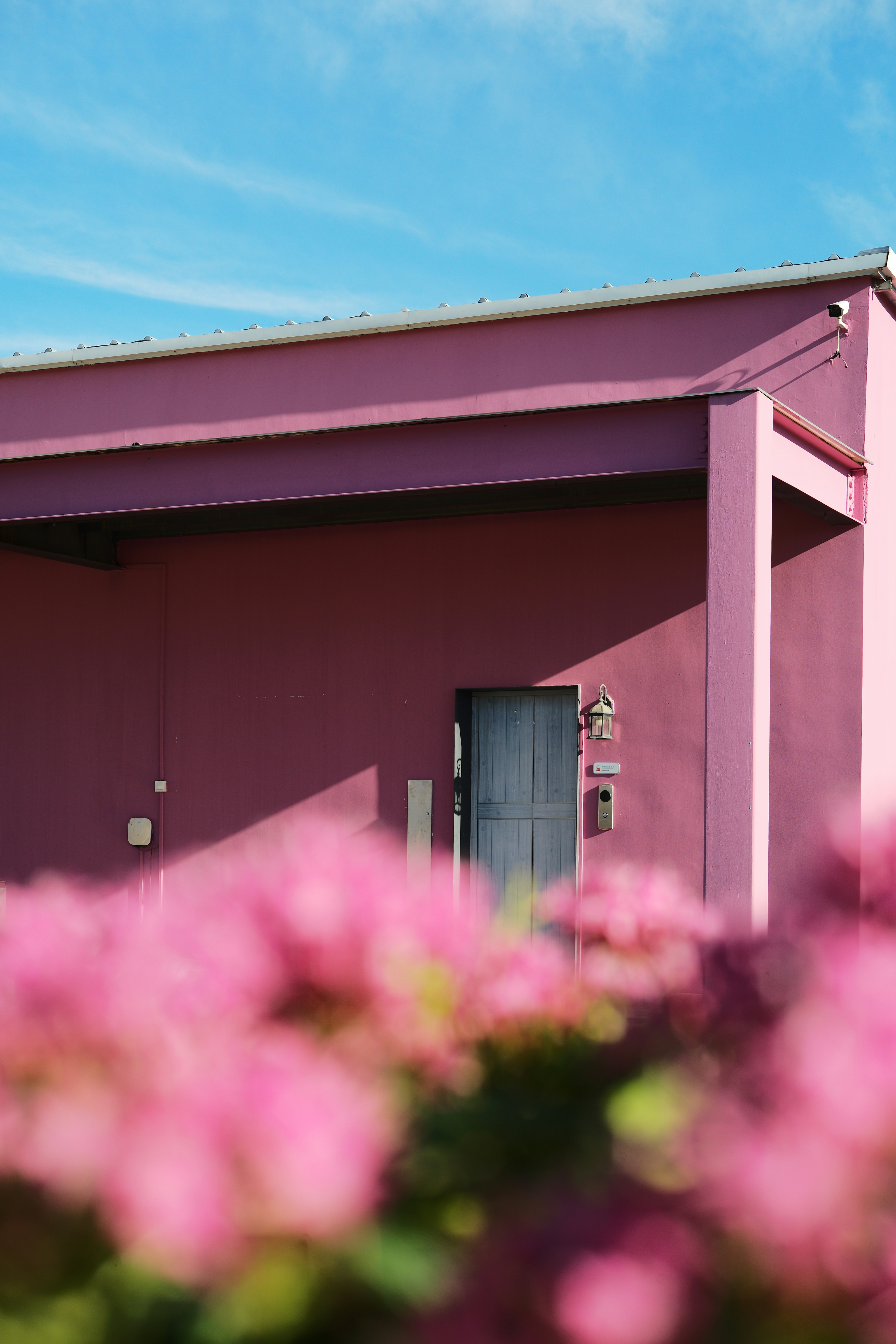 Photo by tommaomaoer