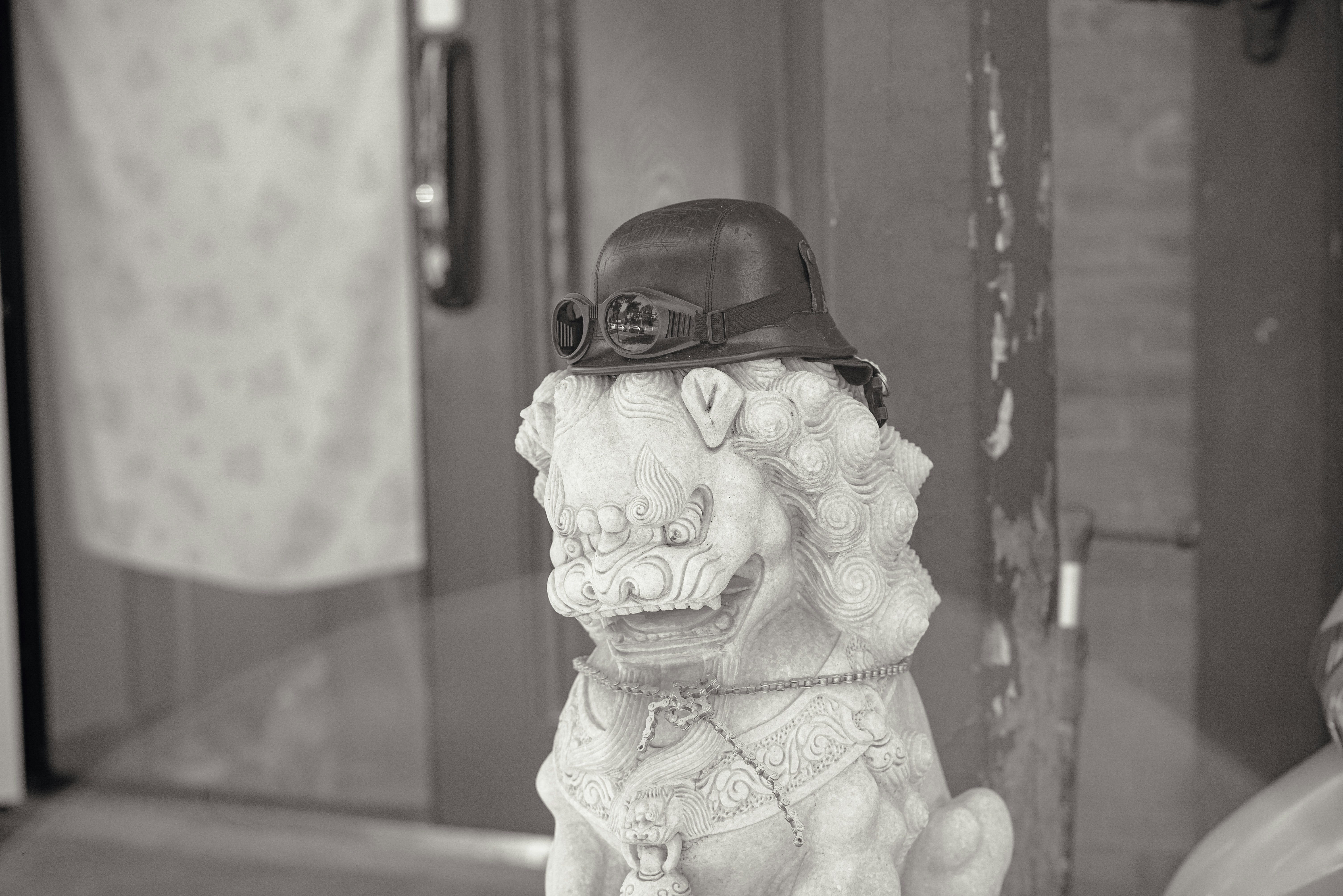 Photo by tommaomaoer