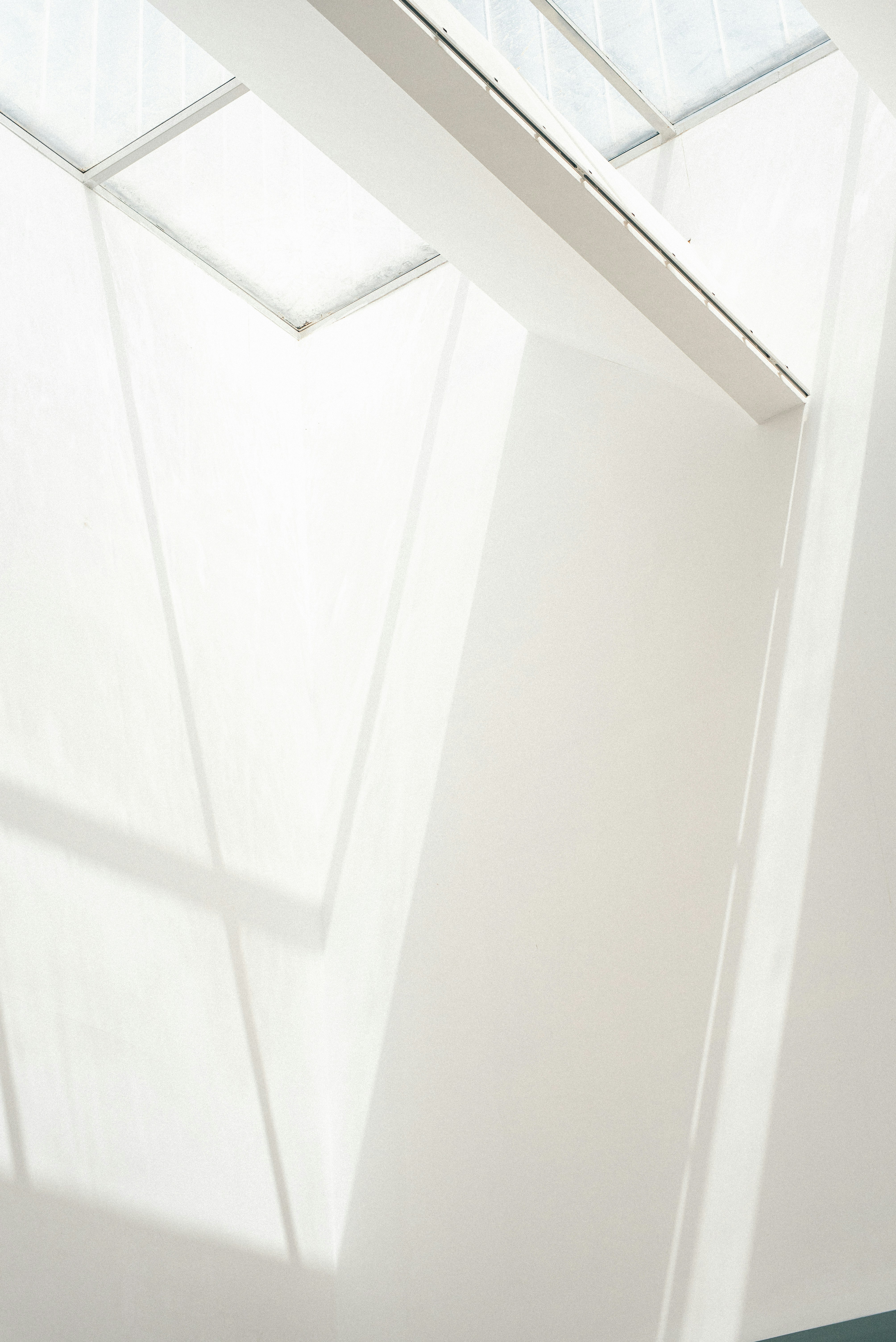 Photo by tommaomaoer