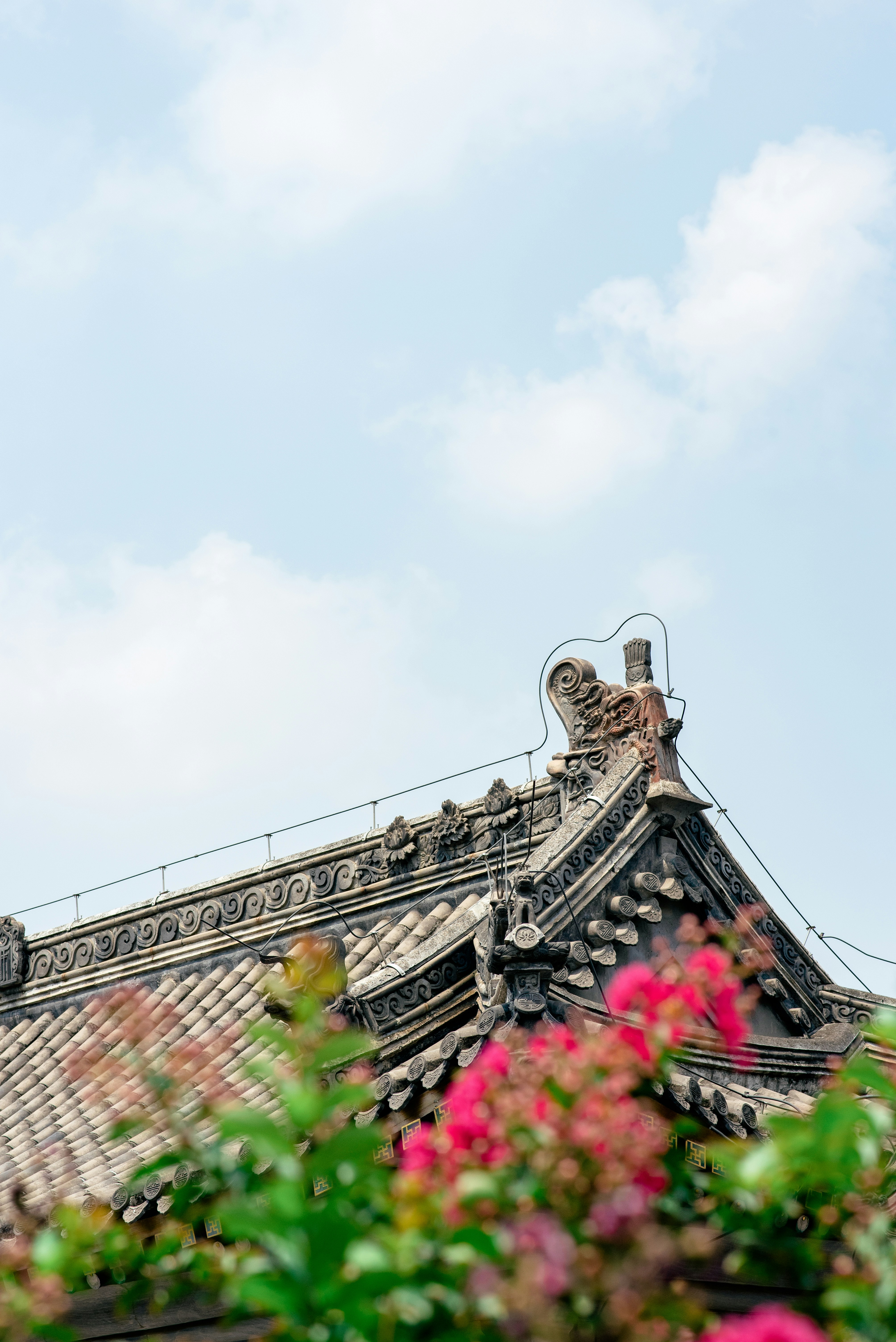 Photo by tommaomaoer