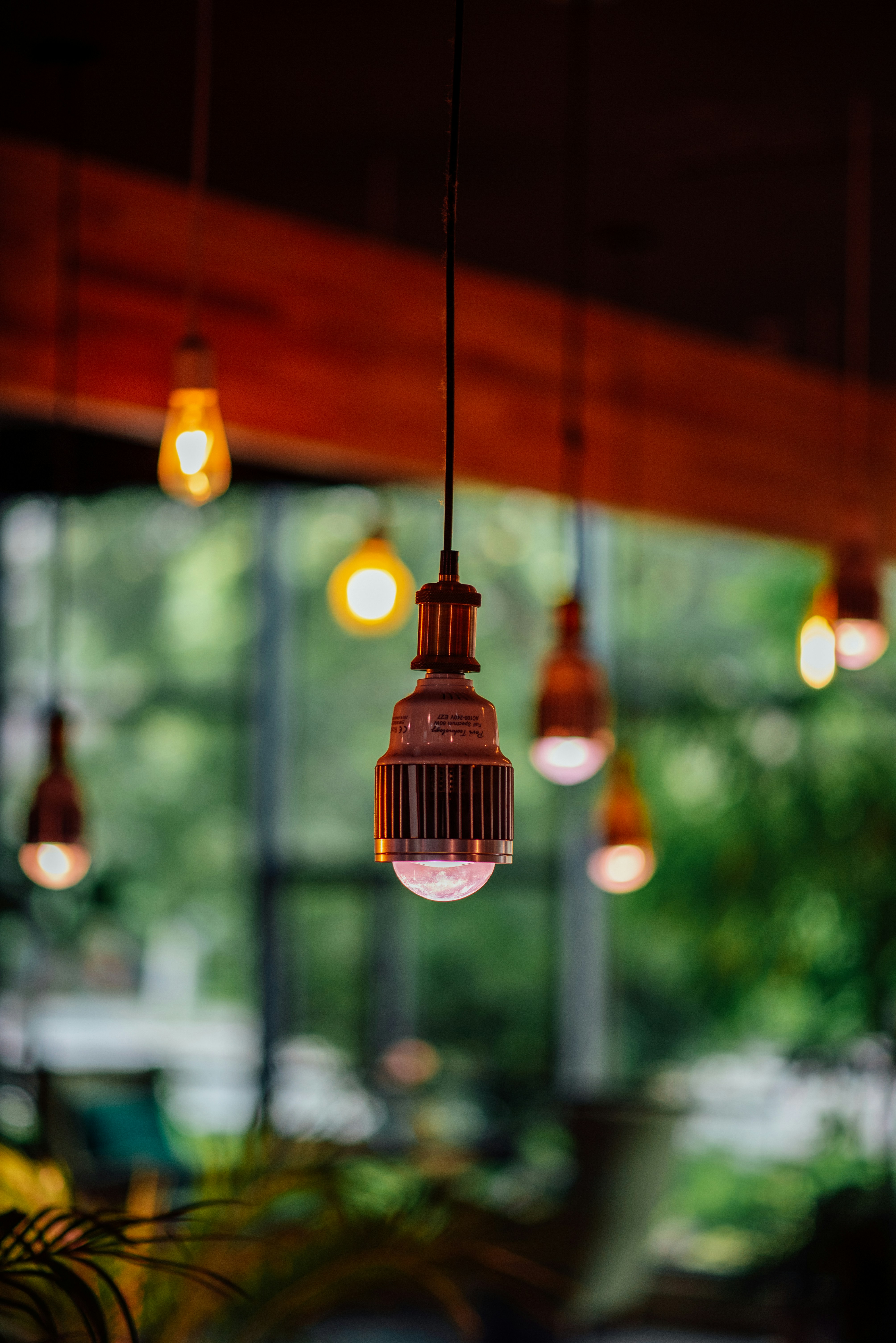 Photo by tommaomaoer