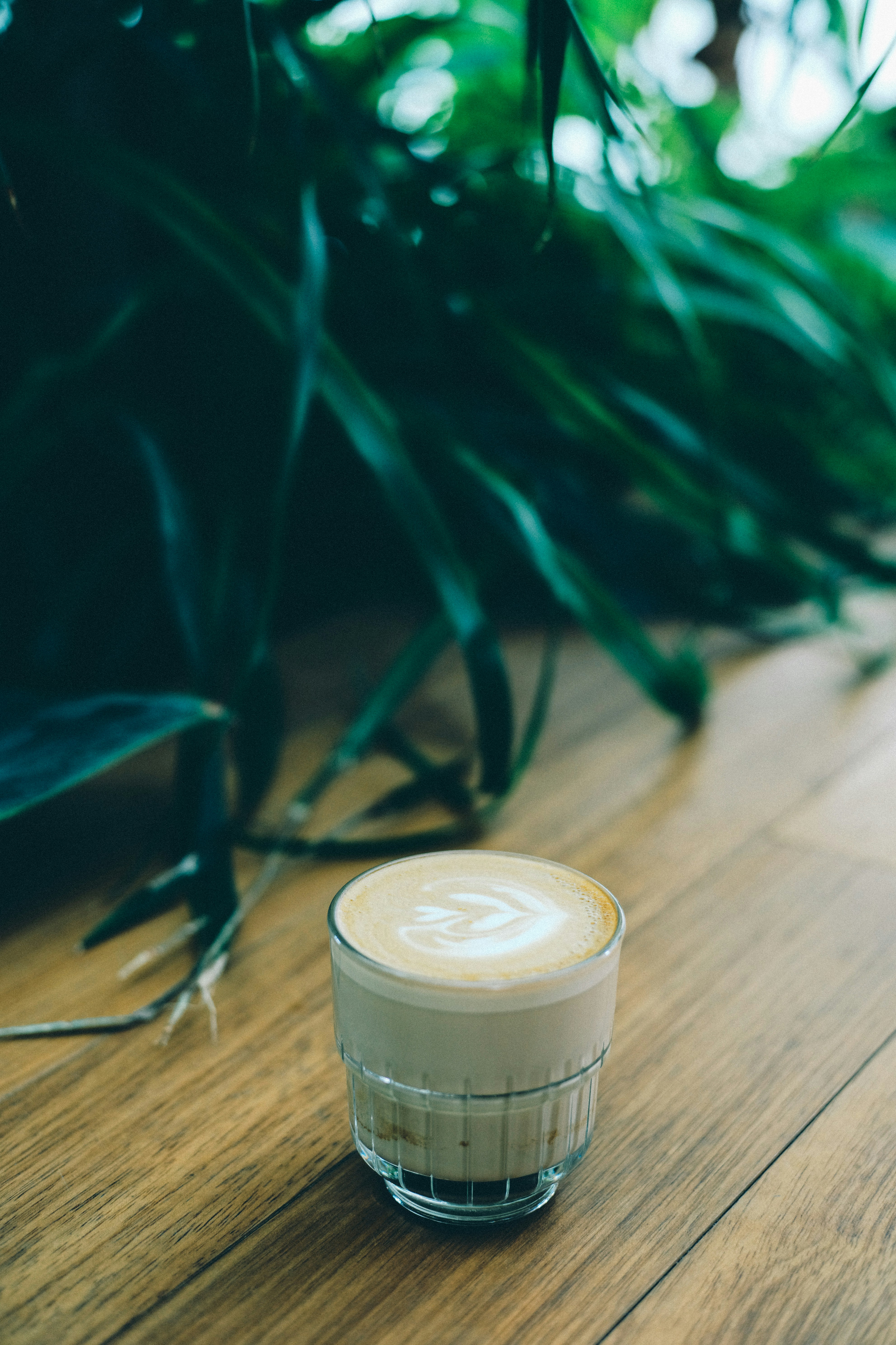 Photo by tommaomaoer