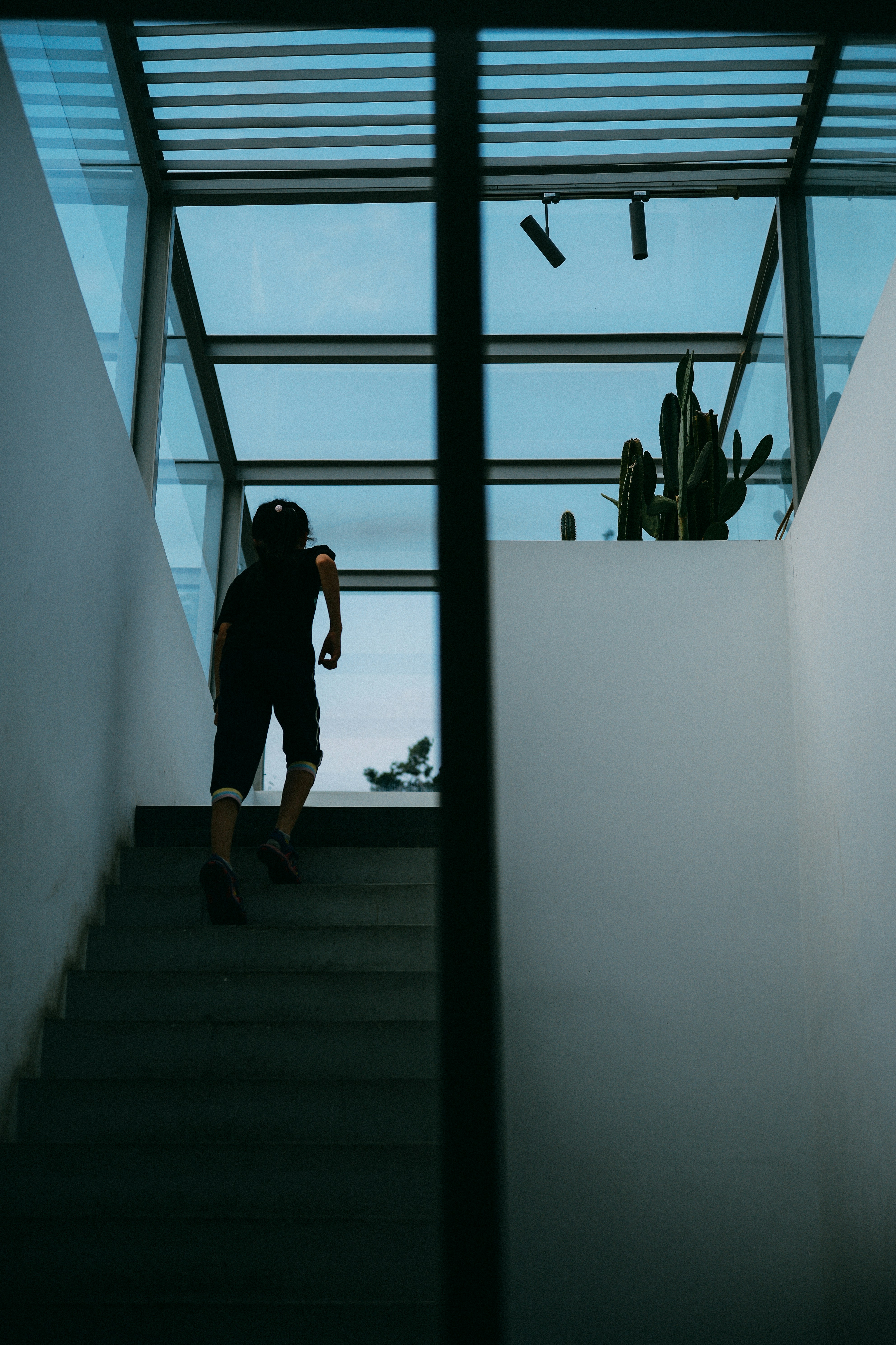 Photo by tommaomaoer