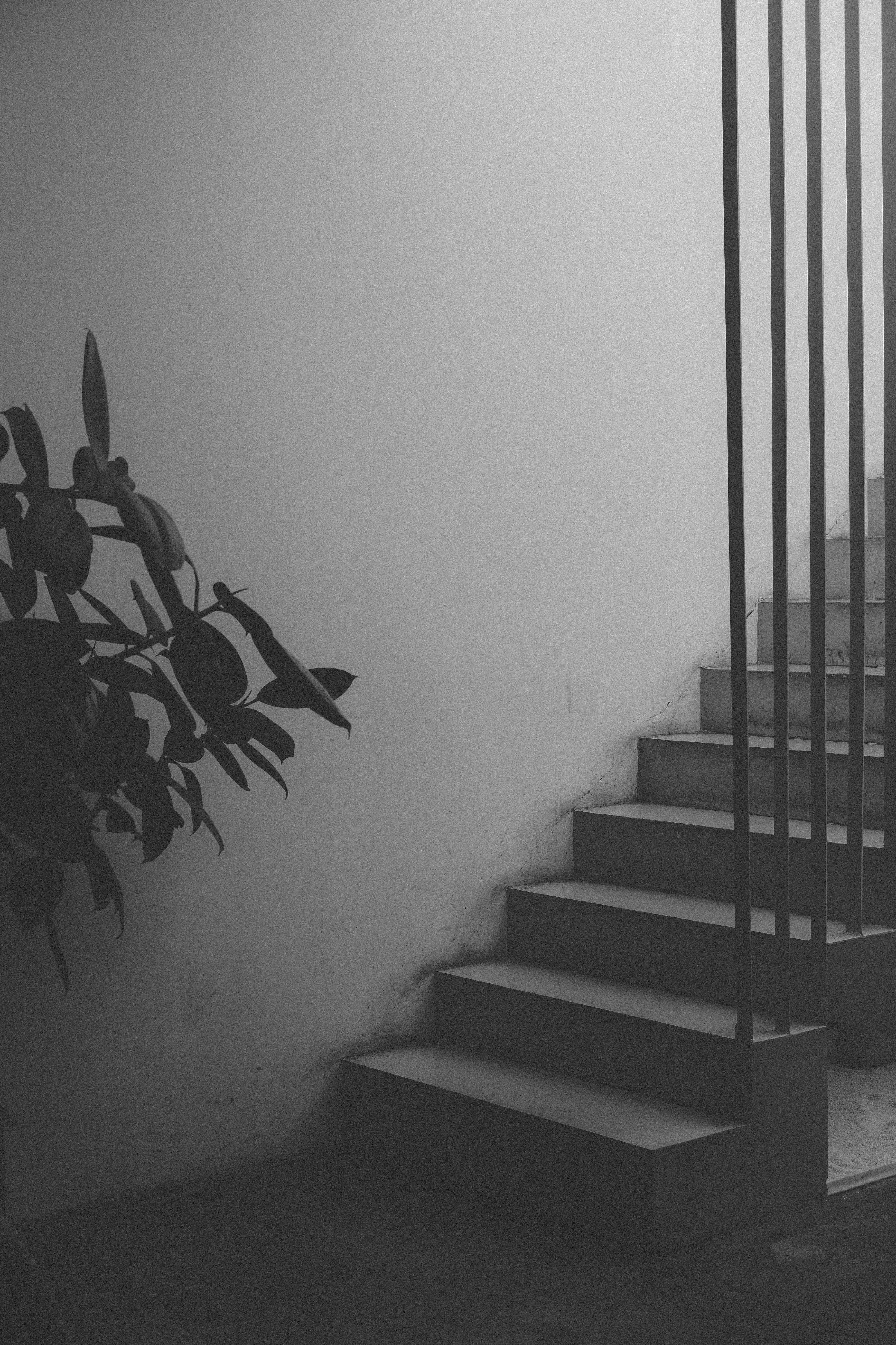 Photo by tommaomaoer